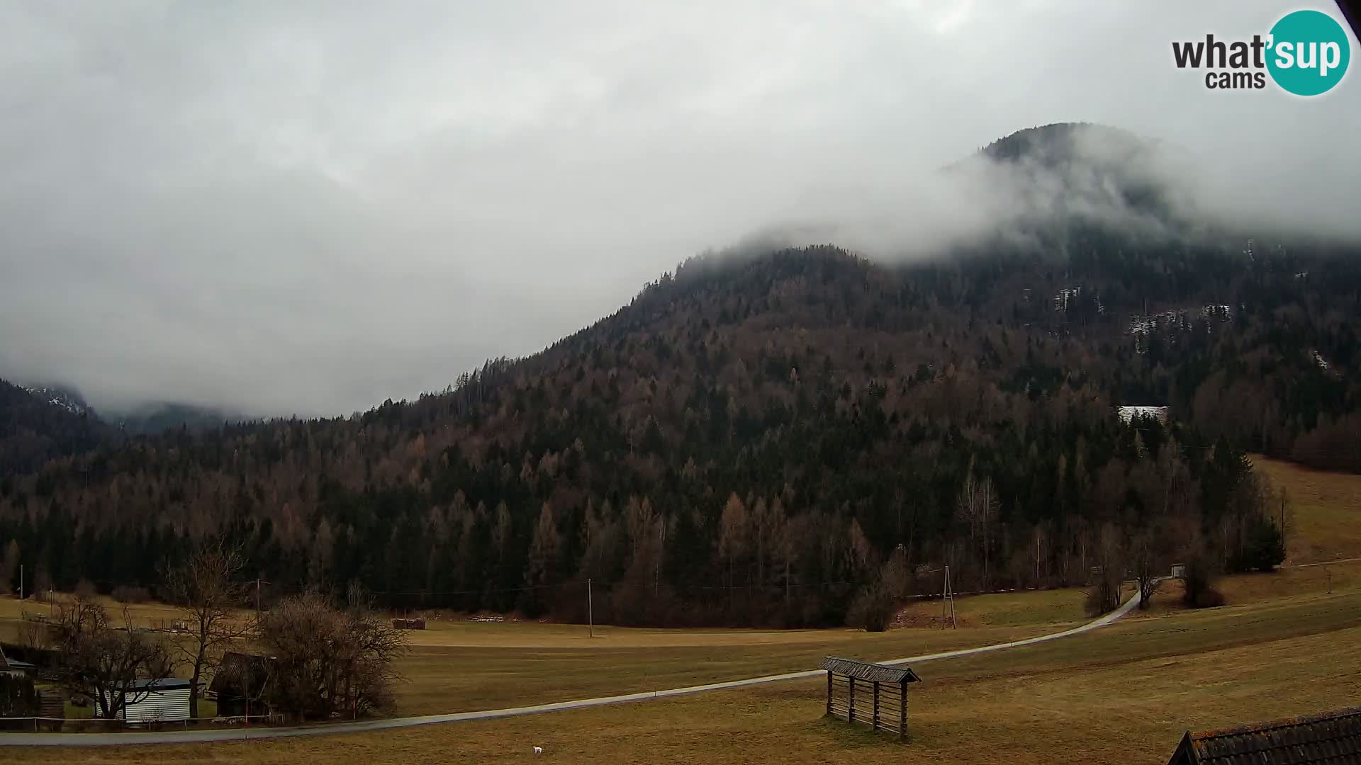 Gozd Martuljek – Špik Mountain Group