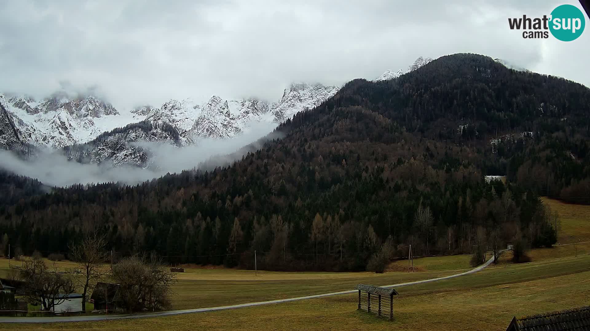 Gozd Martuljek – Špik Mountain Group