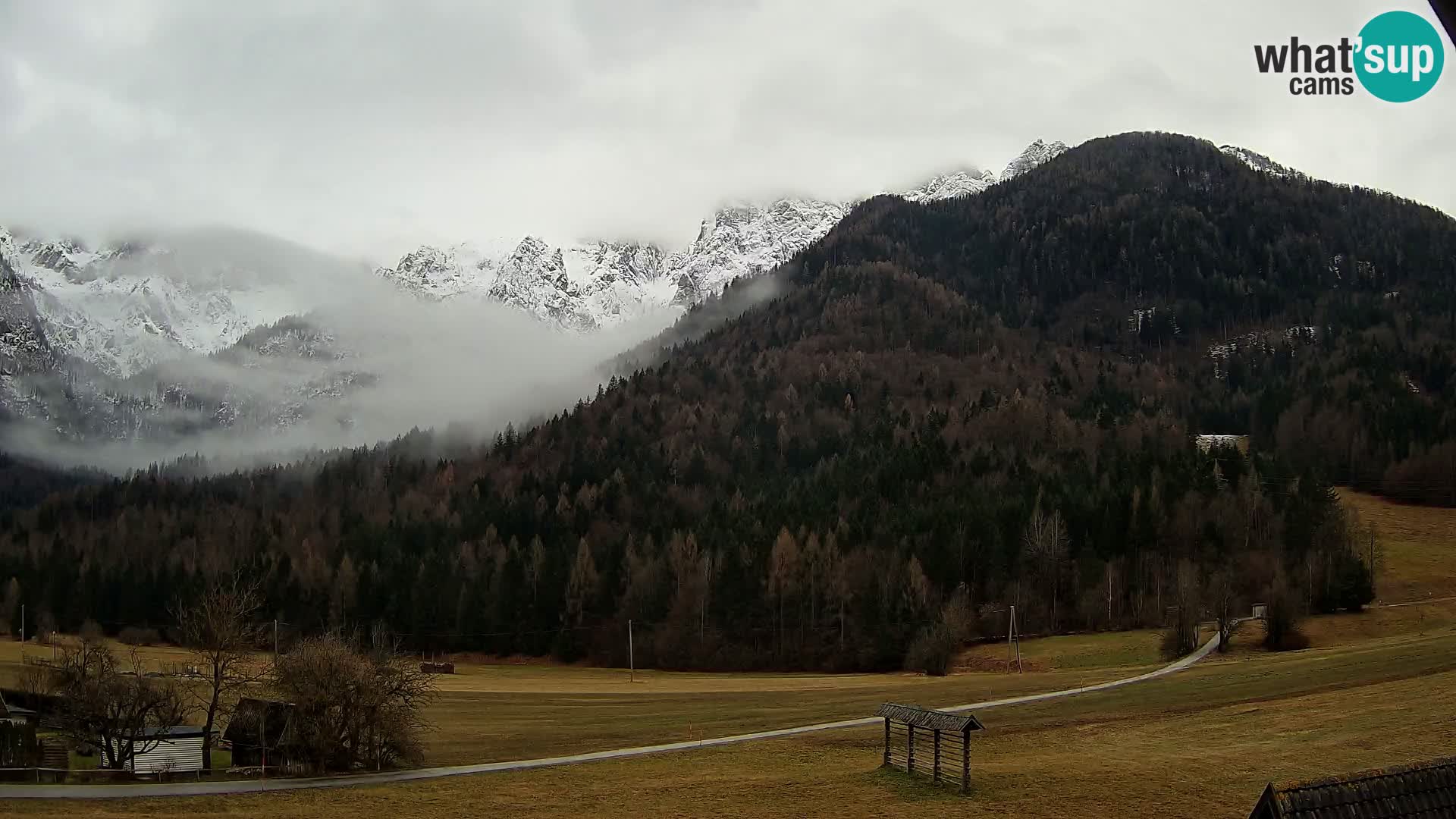 Gozd Martuljek – Špik Mountain Group