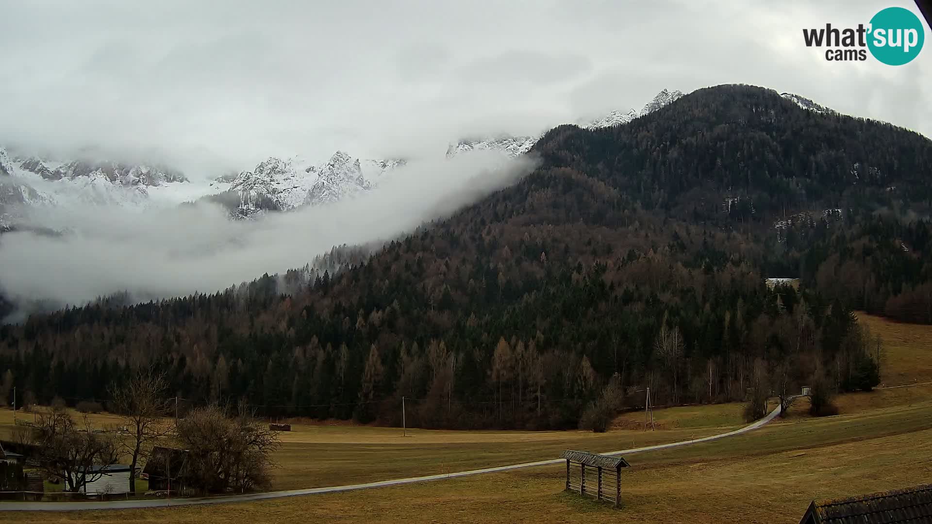 Gozd Martuljek – Špik Mountain Group