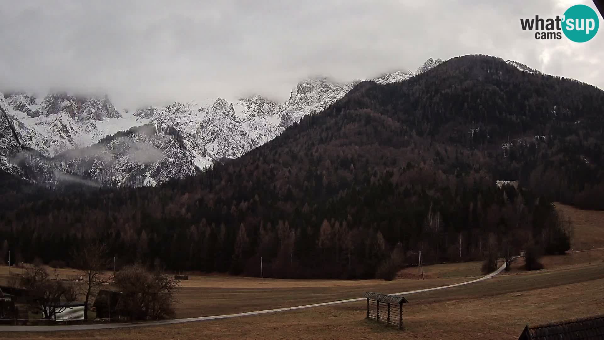 Gozd Martuljek –  planinski lanac Špik