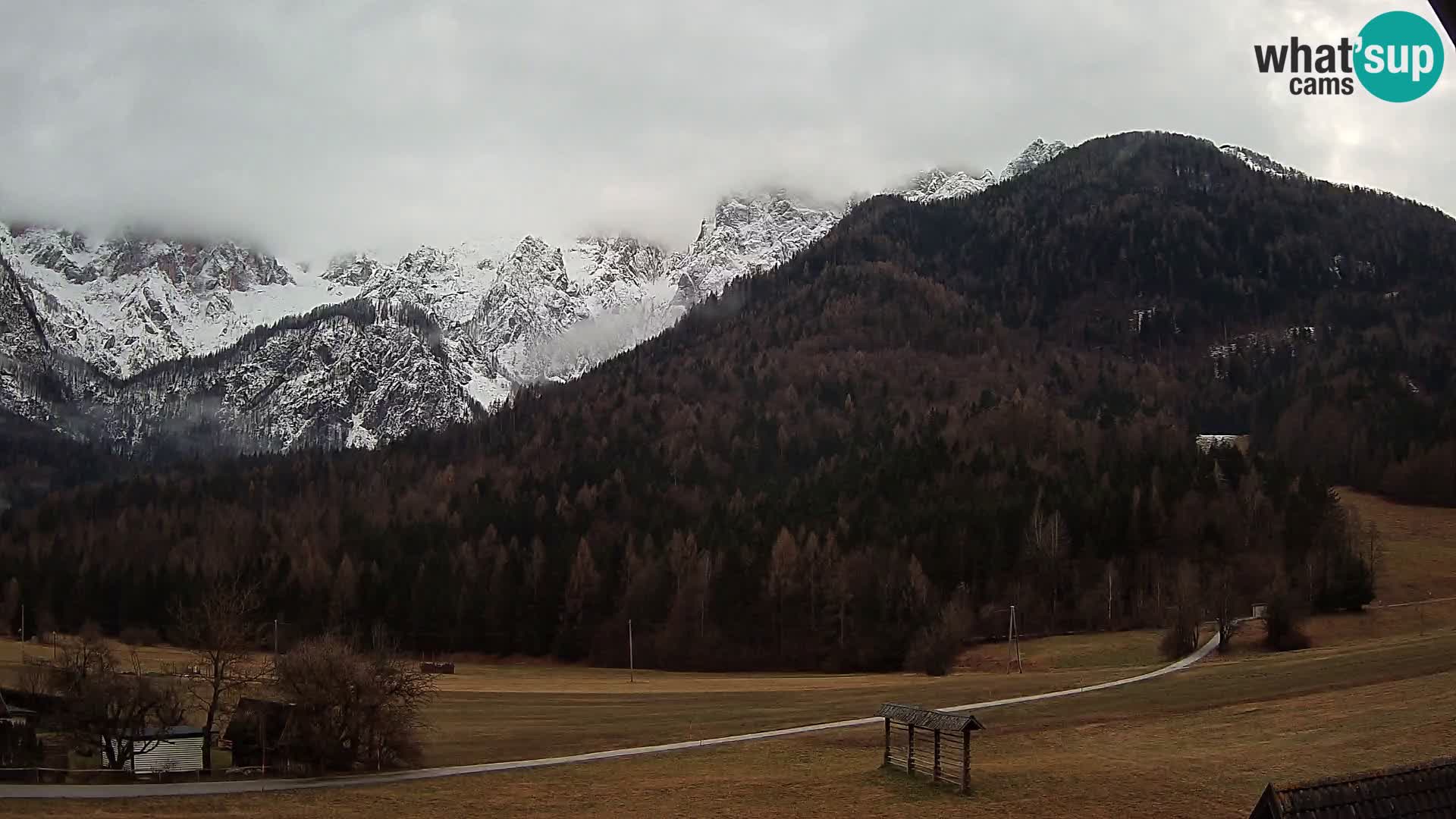 Gozd Martuljek – planinski lanac Špik