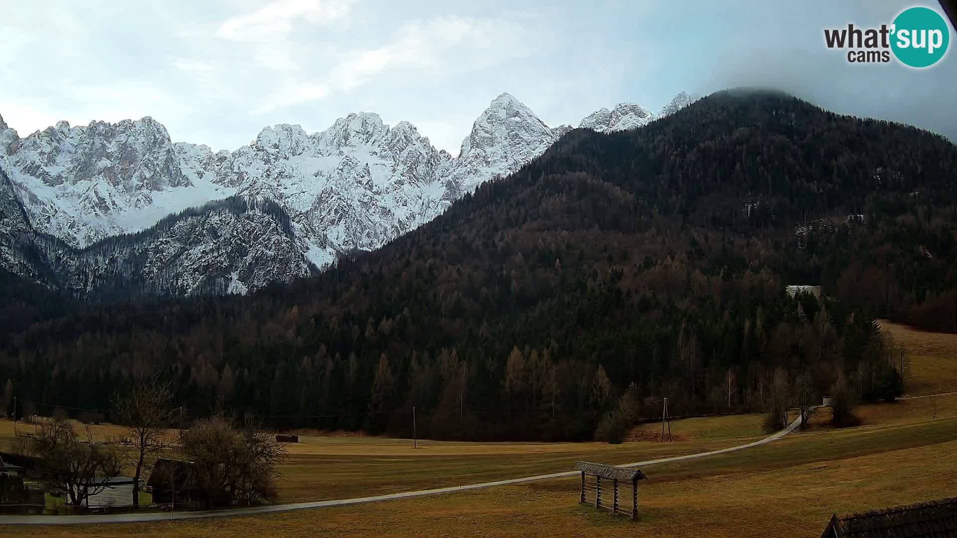 Gozd Martuljek – Špik Mountain Group