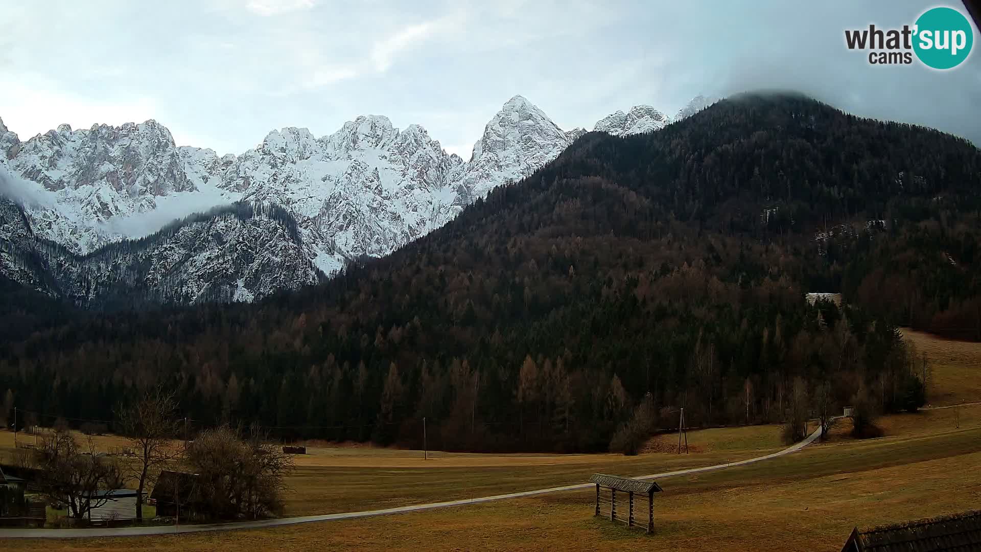 Gozd Martuljek – Špikova skupina