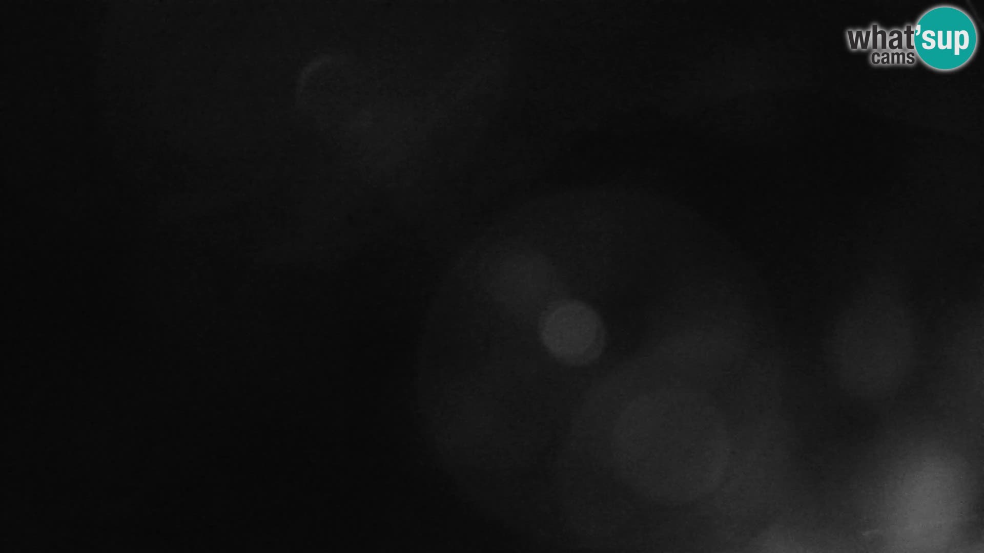 Gozd Martuljek –  planinski lanac Špik