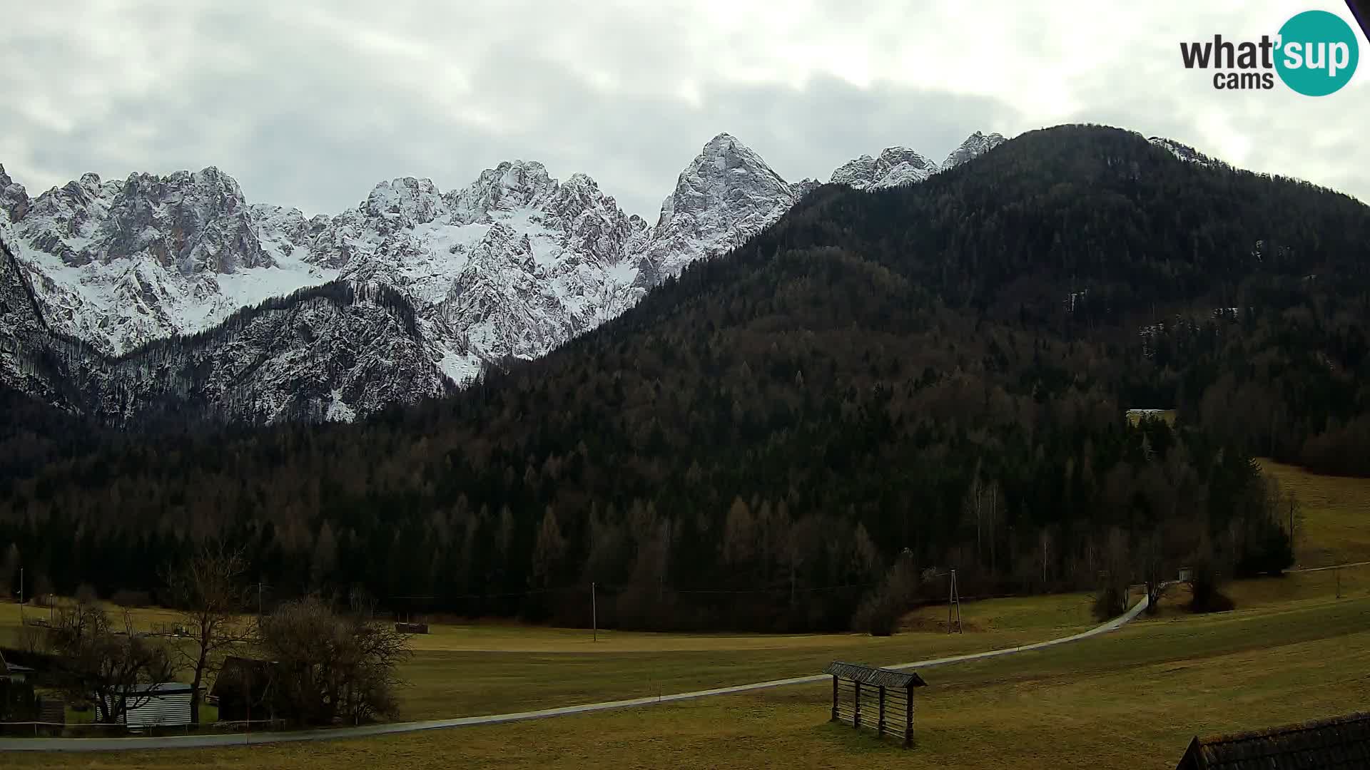 Gozd Martuljek – Špik Mountain Group