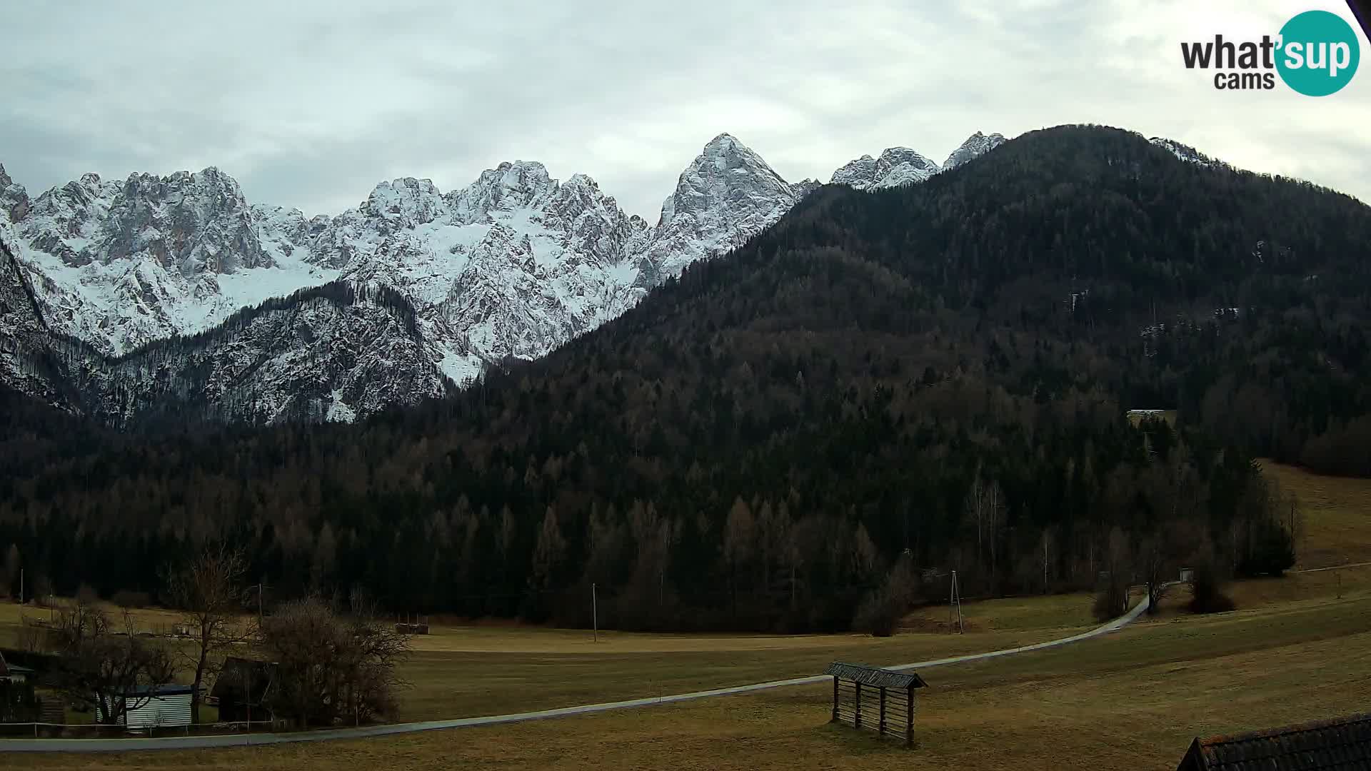 Gozd Martuljek – Špik Mountain Group