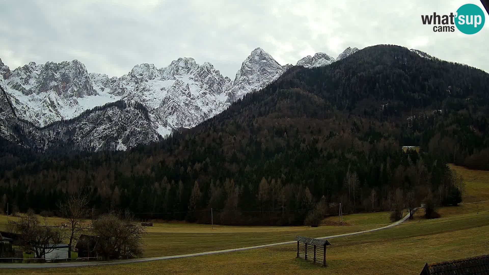 Gozd Martuljek – planinski lanac Špik