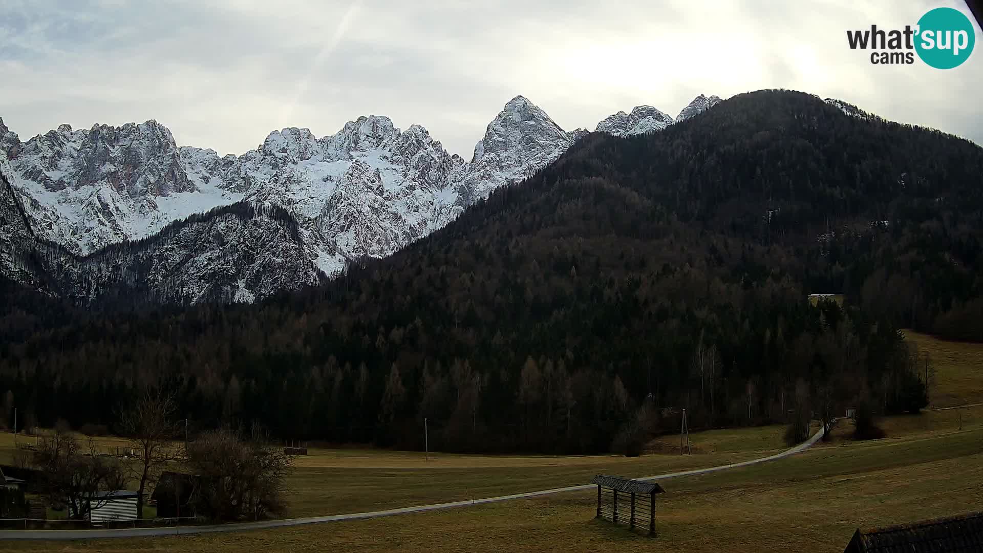 Gozd Martuljek – Špik Mountain Group