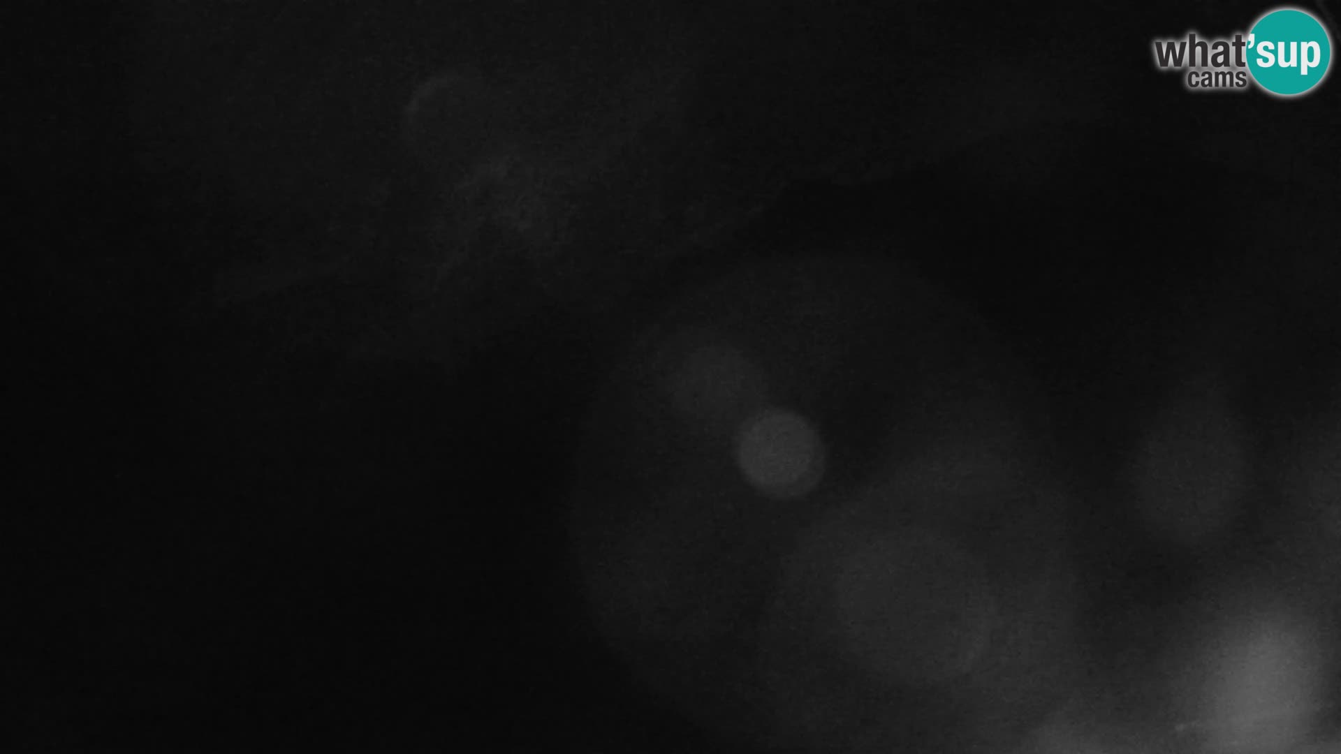 Gozd Martuljek – Špik Mountain Group