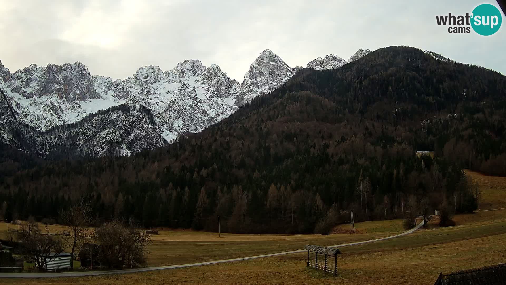 Gozd Martuljek – Špik Mountain Group