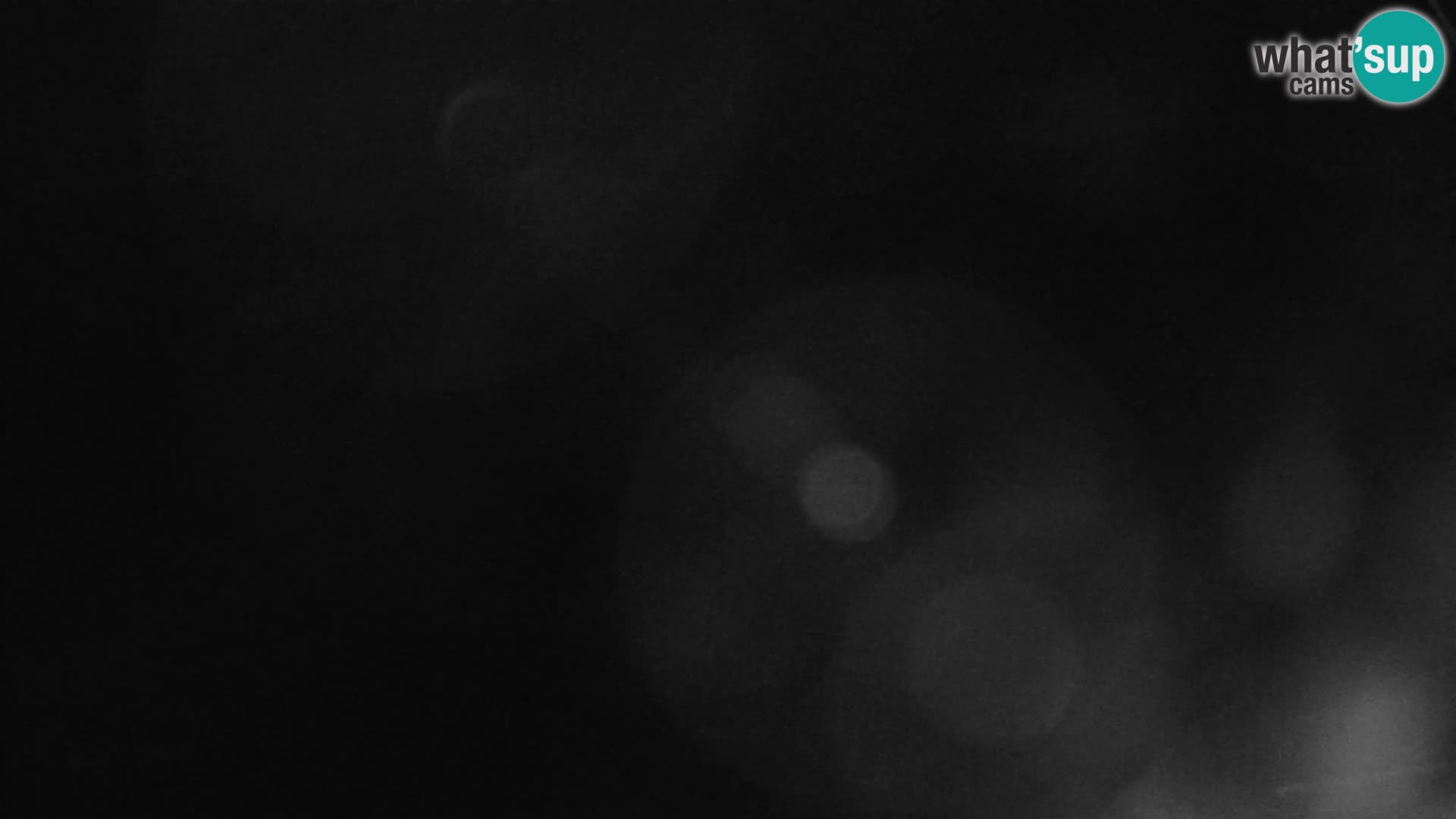 Gozd Martuljek – planinski lanac Špik