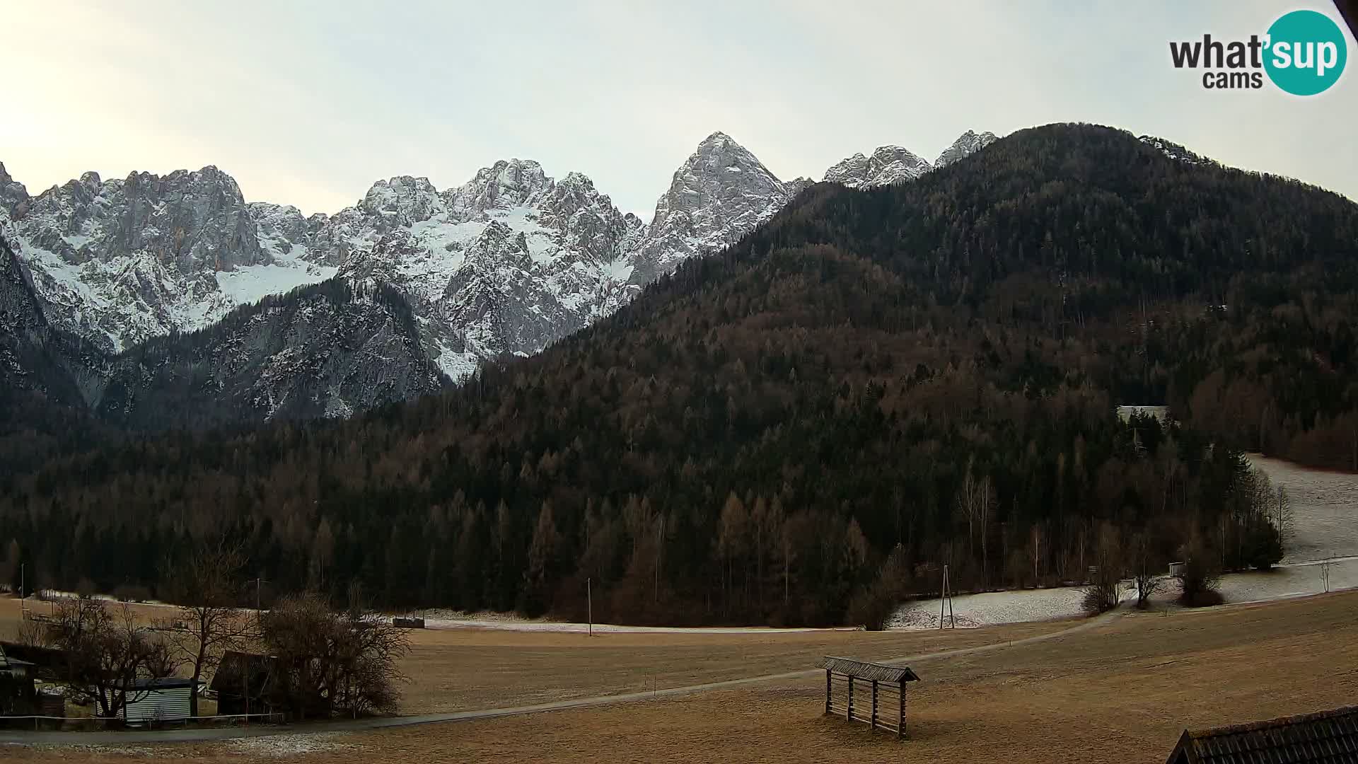 Gozd Martuljek – planinski lanac Špik