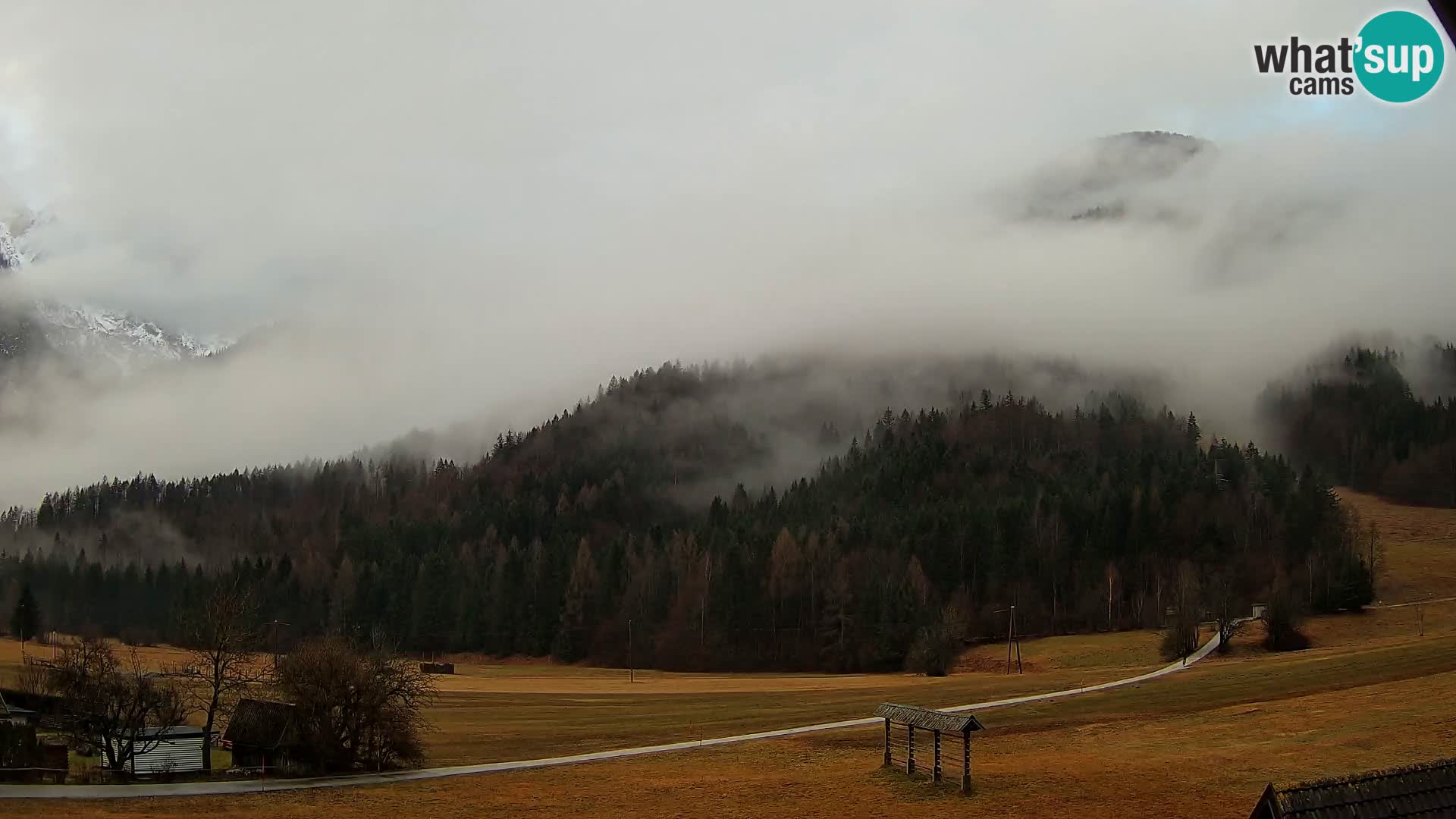 Gozd Martuljek – Špik Mountain Group