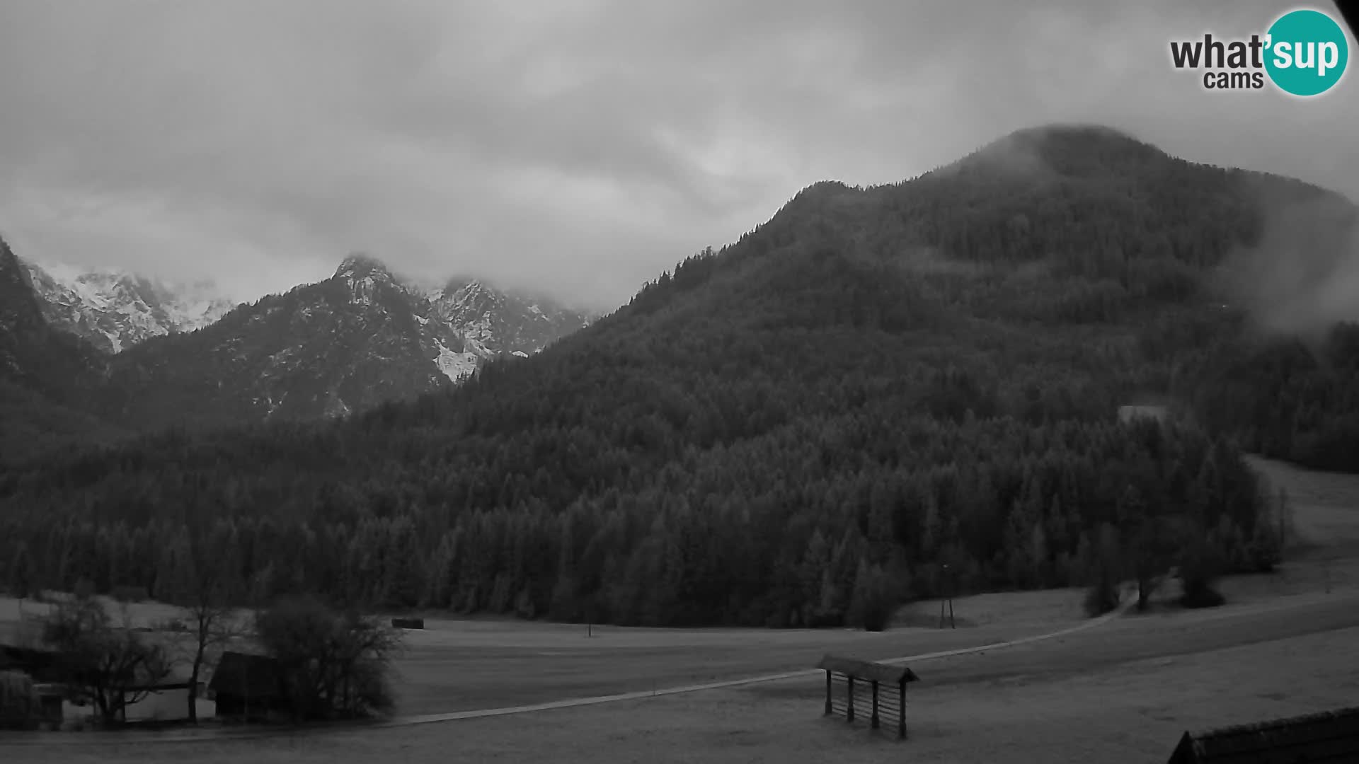 Gozd Martuljek – Špikova skupina