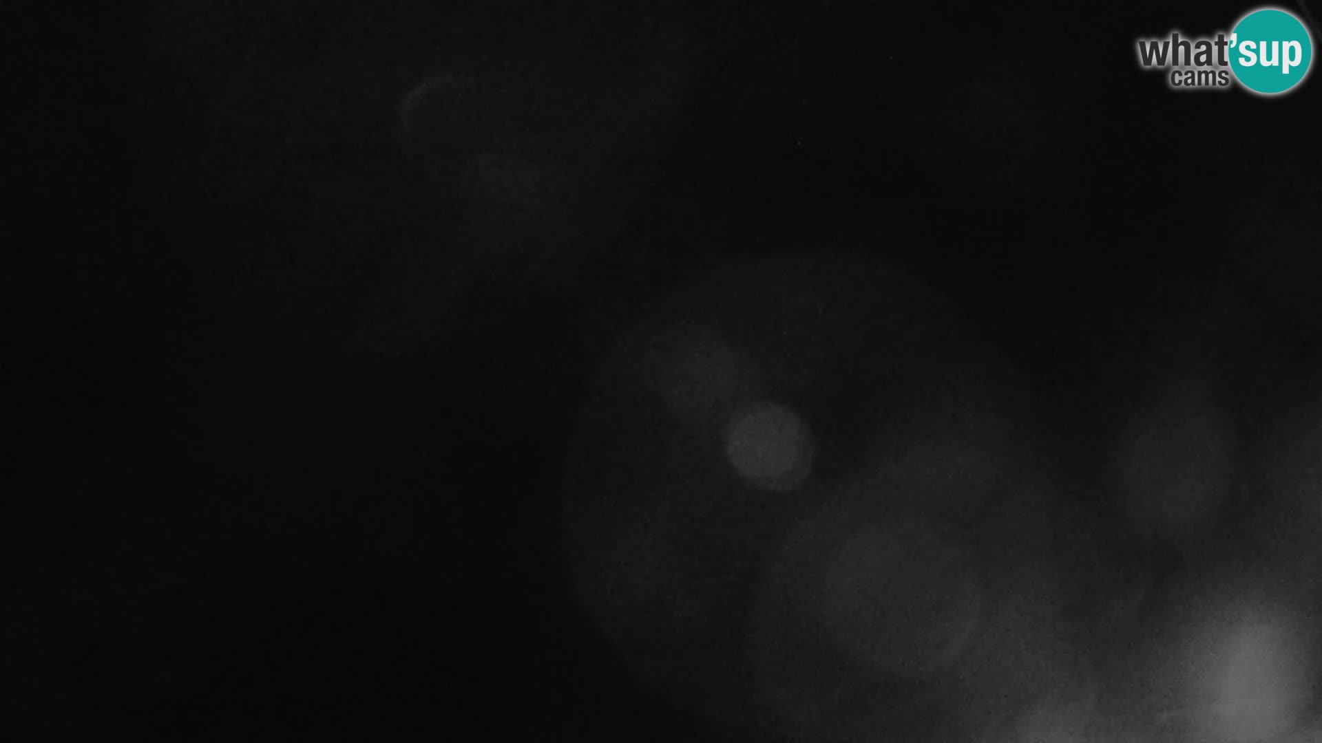 Gozd Martuljek – Špik-Gruppe