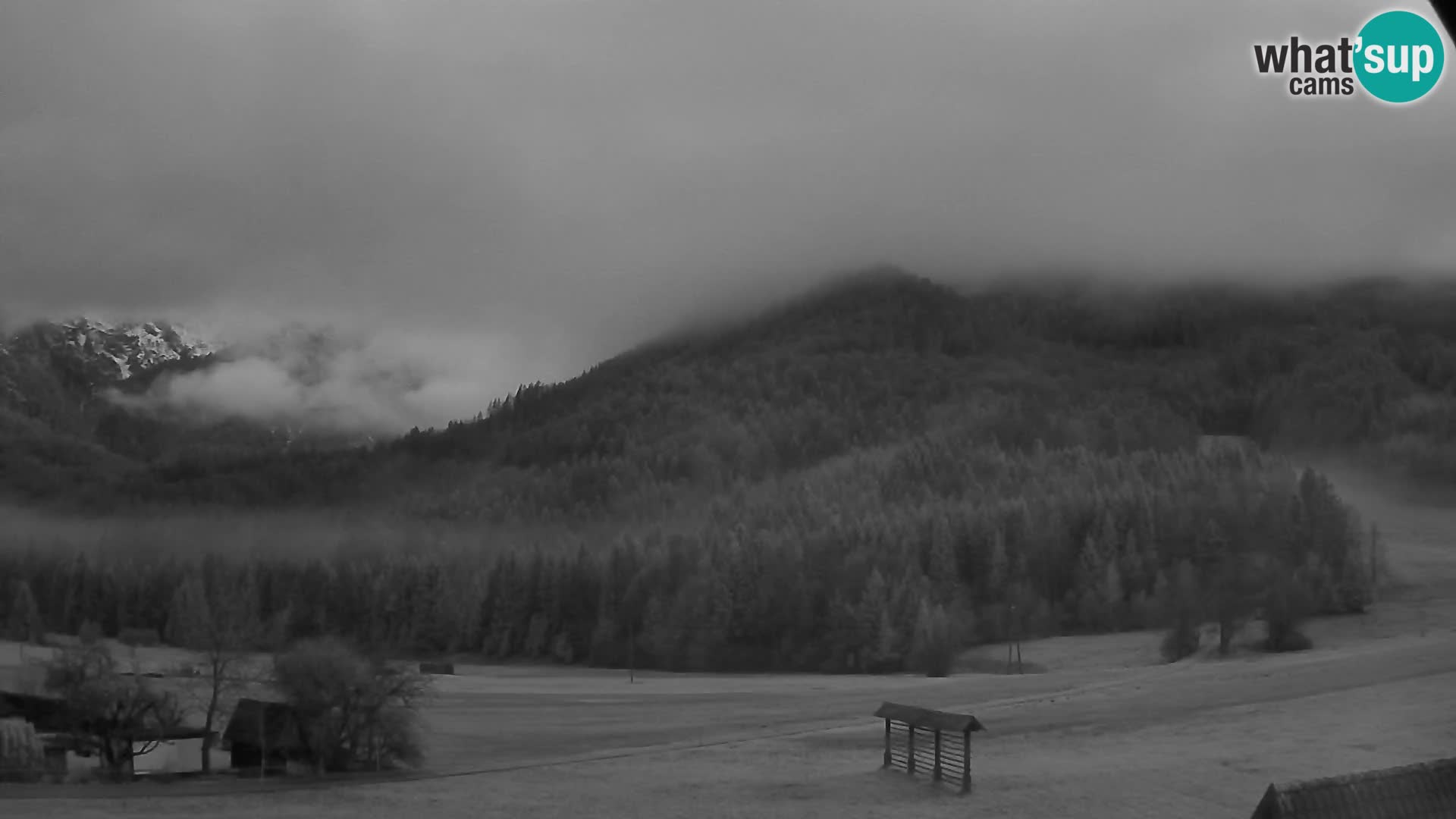 Gozd Martuljek – planinski lanac Špik