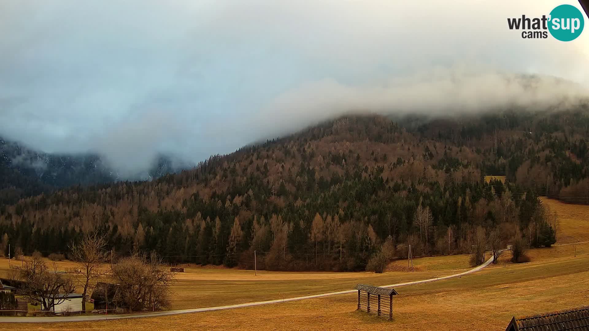 Gozd Martuljek – Špikova skupina