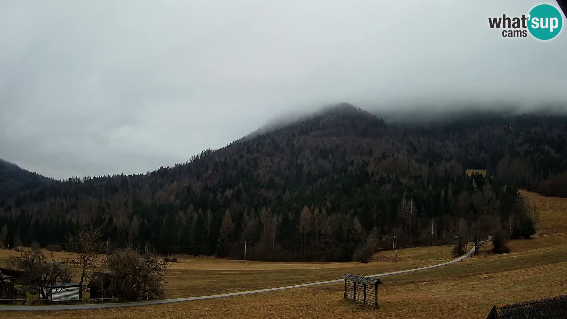 Gozd Martuljek –  planinski lanac Špik