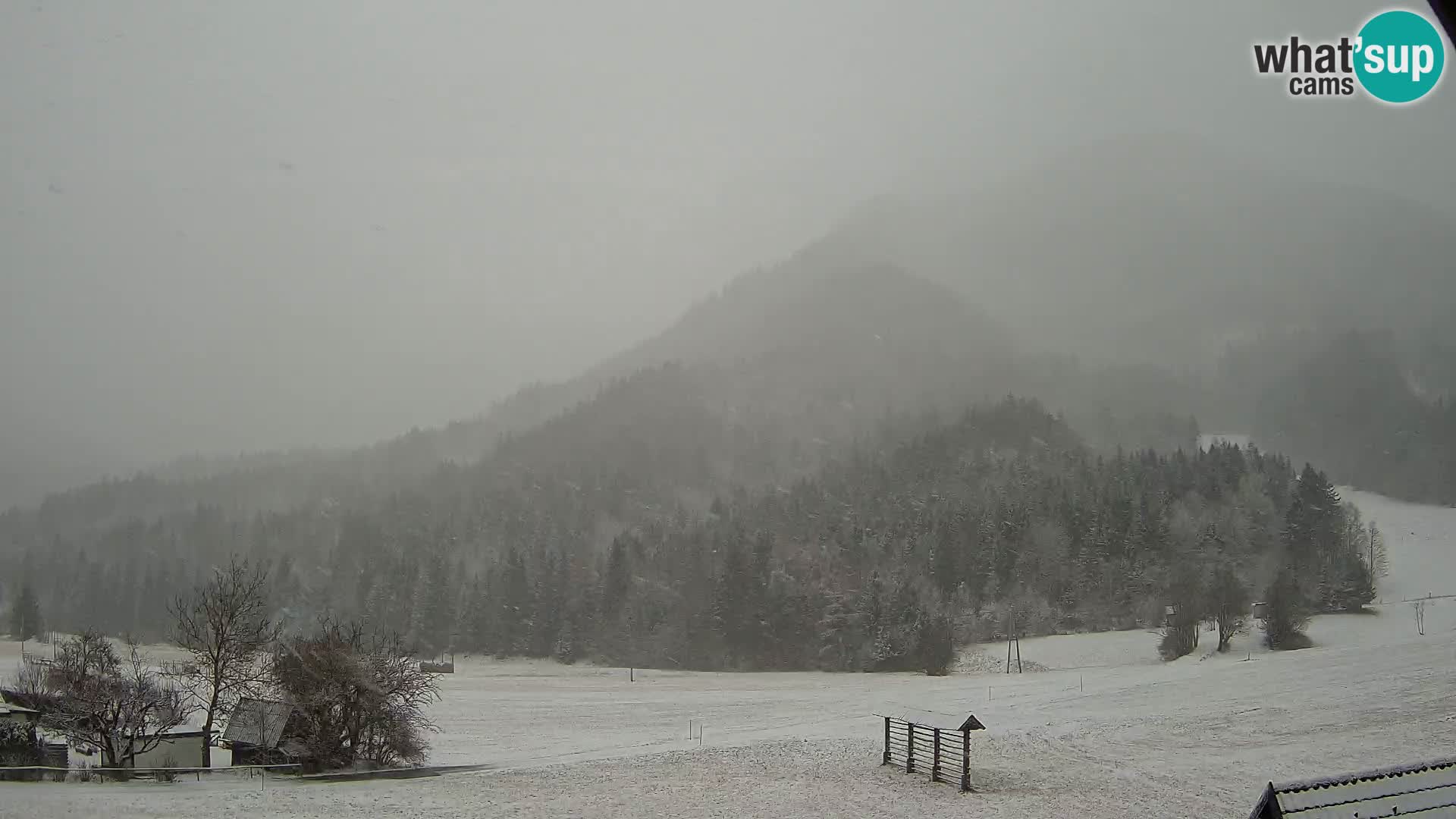 Gozd Martuljek – Špik Mountain Group