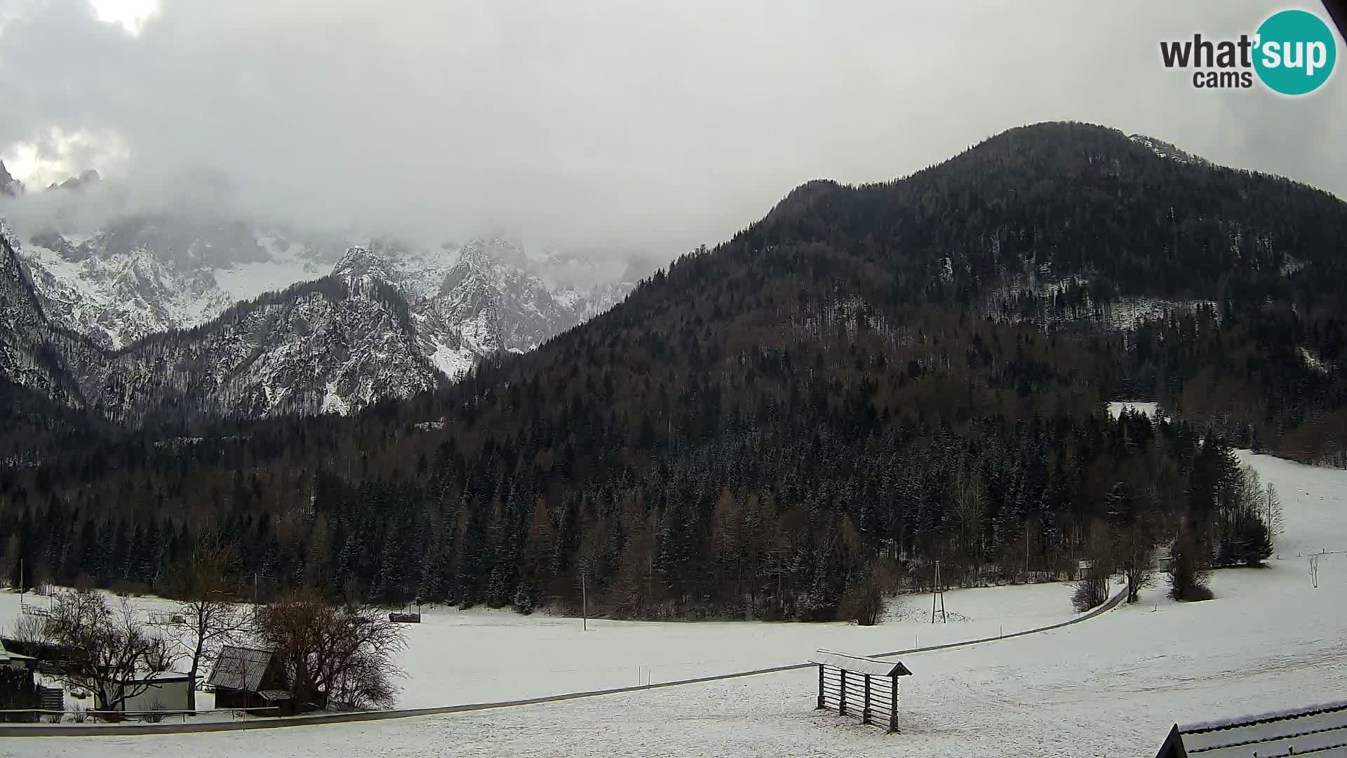 Gozd Martuljek – Špikova skupina