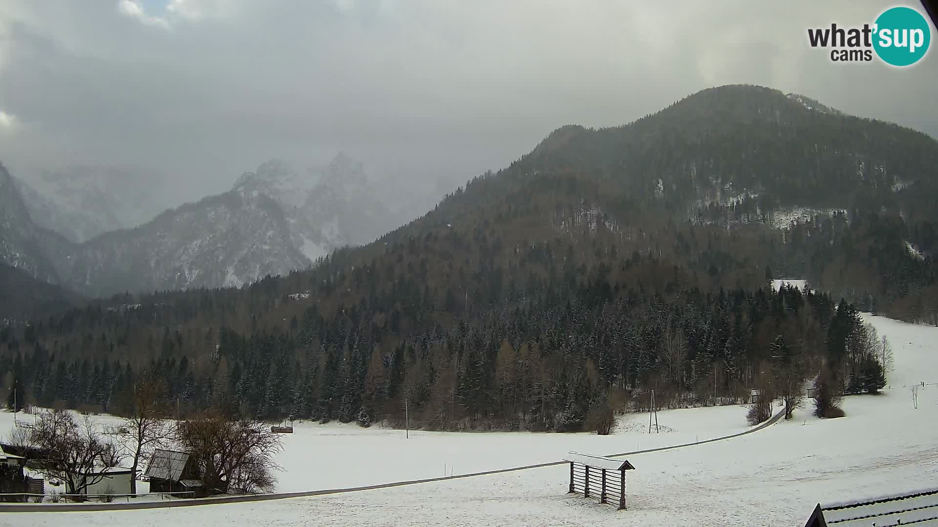 Gozd Martuljek – Špikova skupina