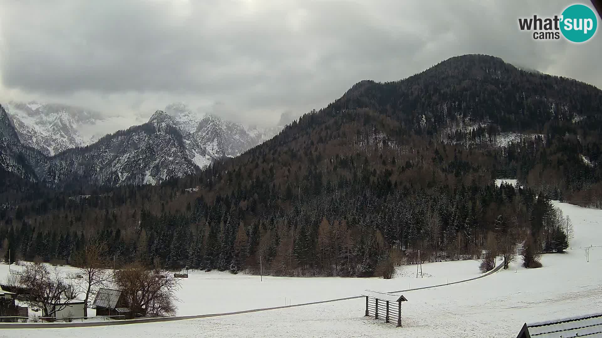 Gozd Martuljek – Špikova skupina