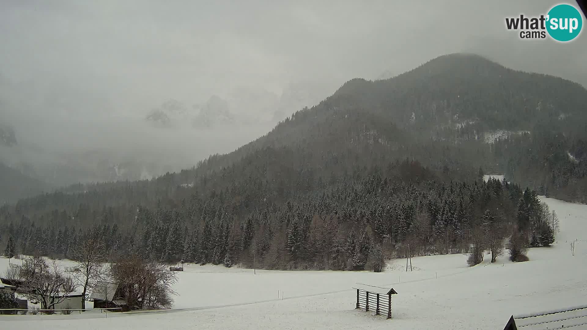 Gozd Martuljek – Špikova skupina