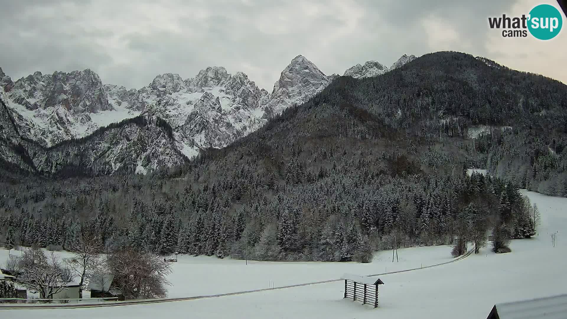 Gozd Martuljek – Špik Mountain Group