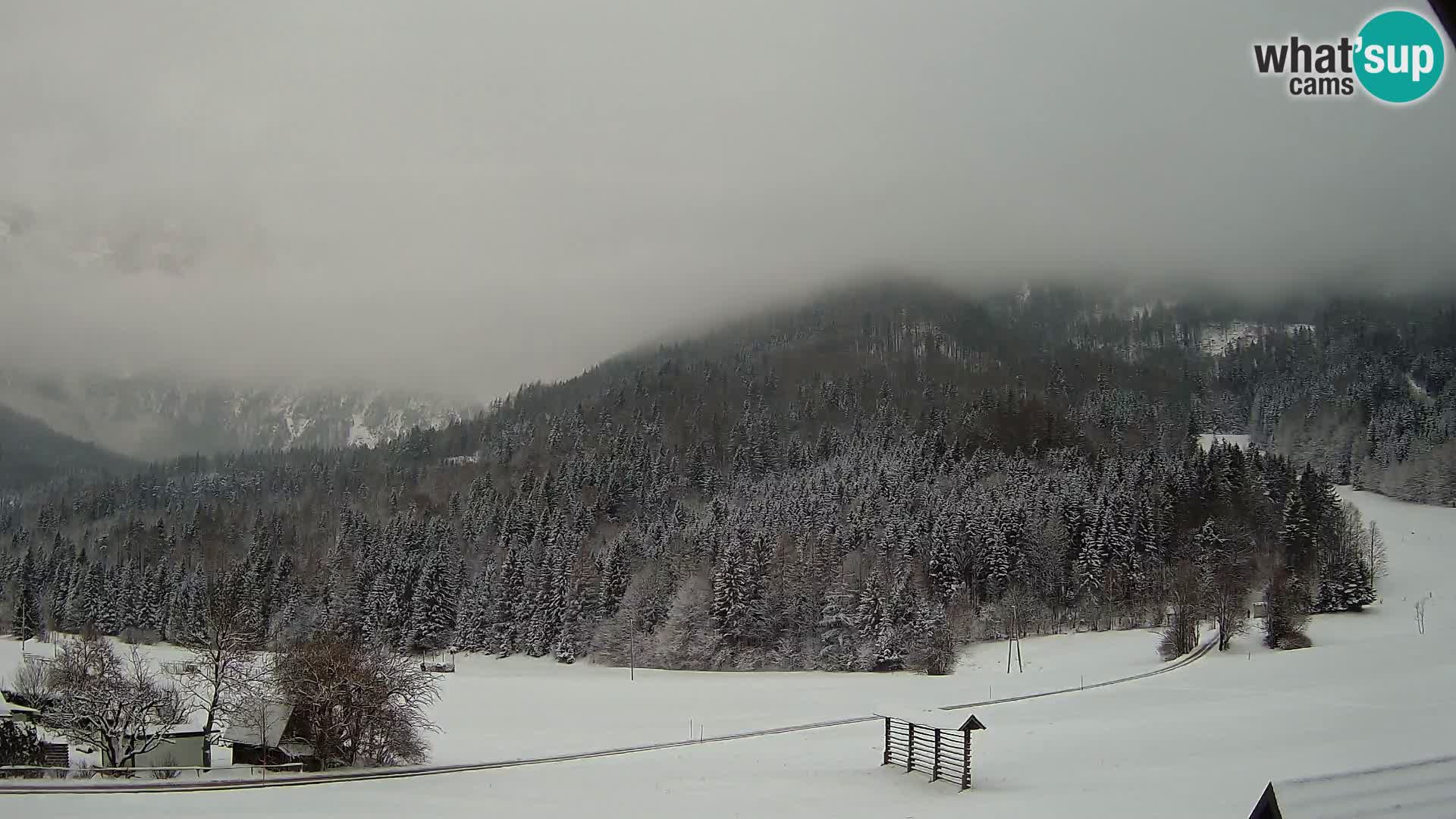 Gozd Martuljek – Špikova skupina