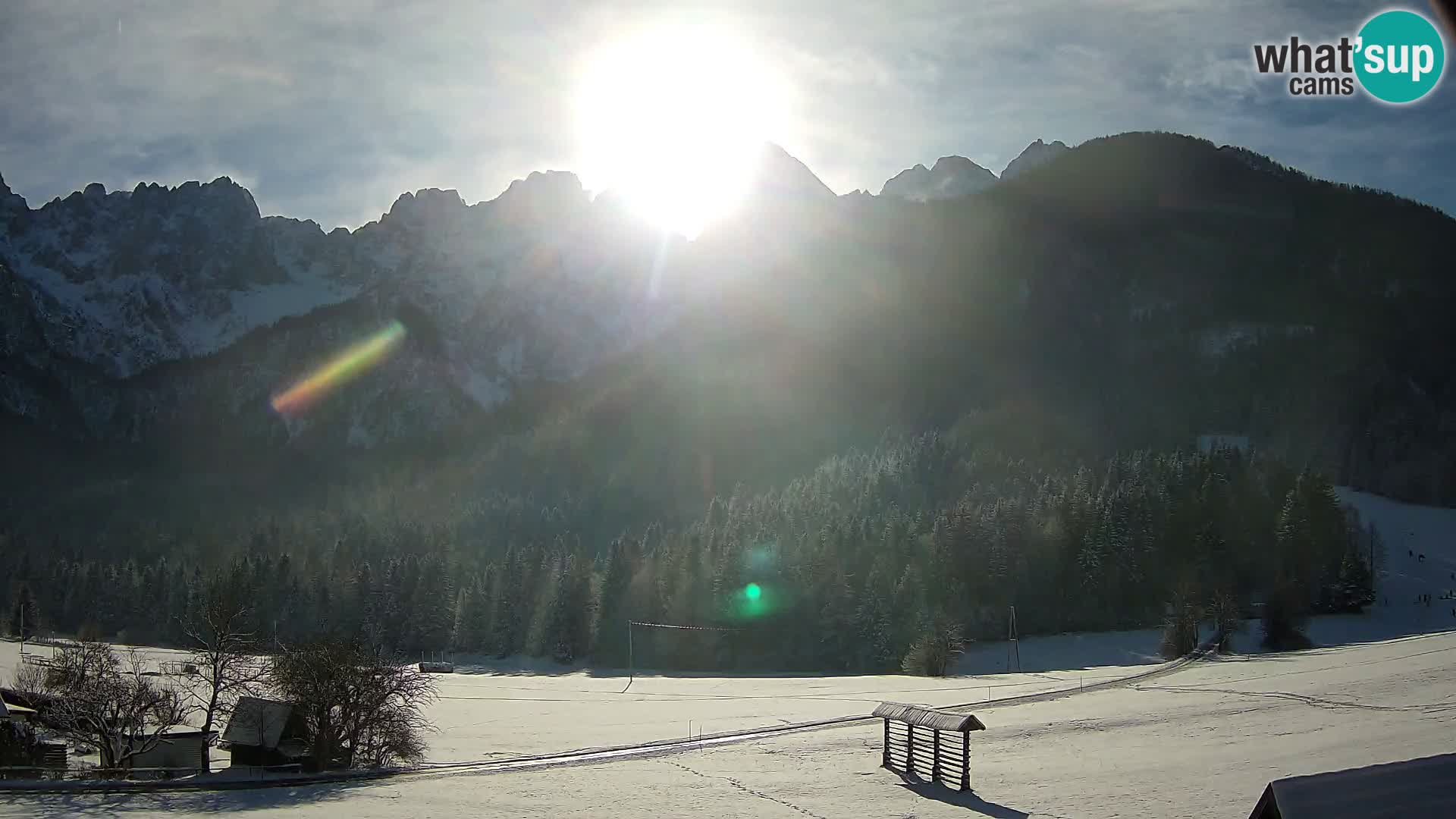 Gozd Martuljek – Špik Mountain Group