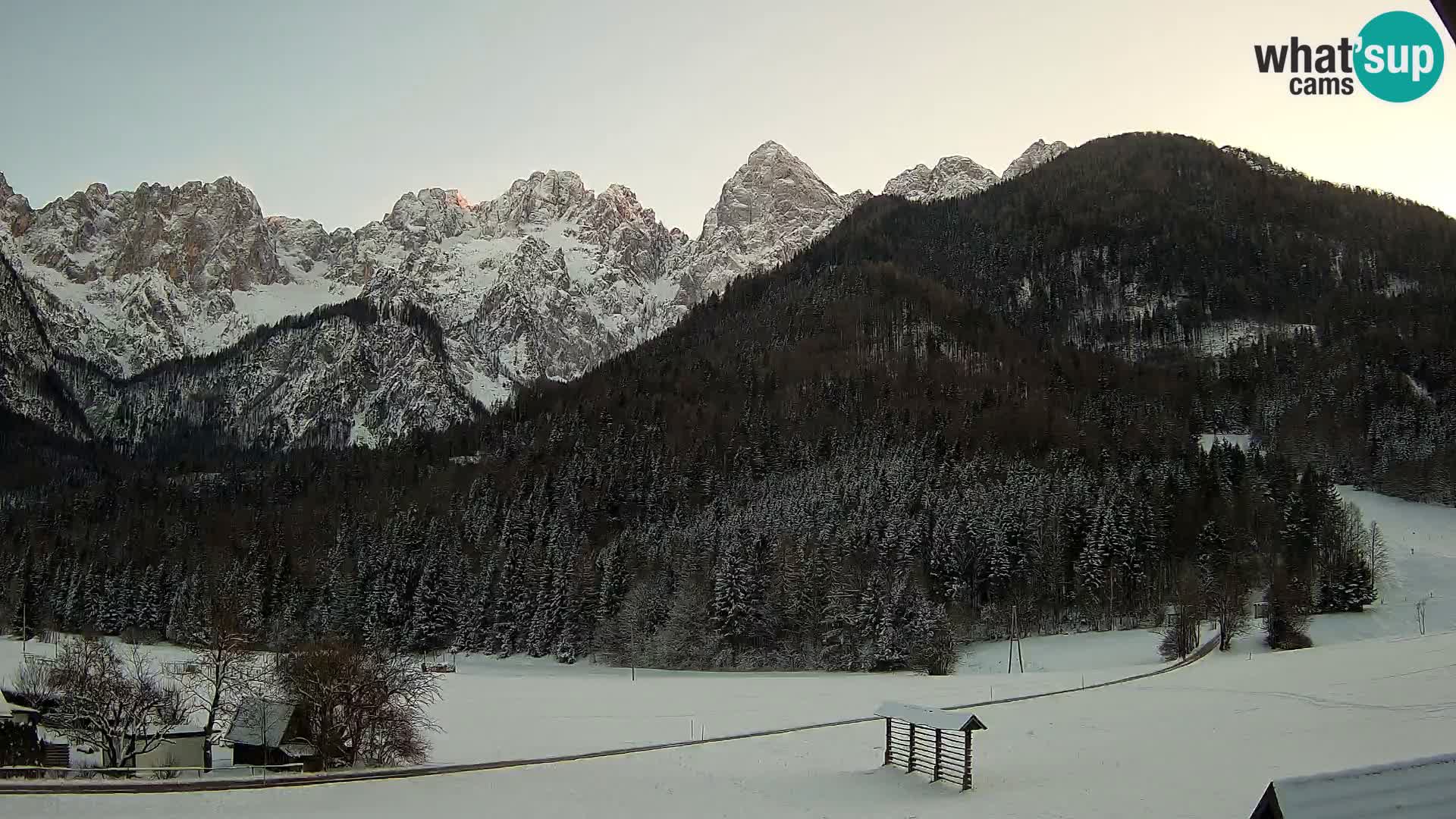 Gozd Martuljek – Špikova skupina