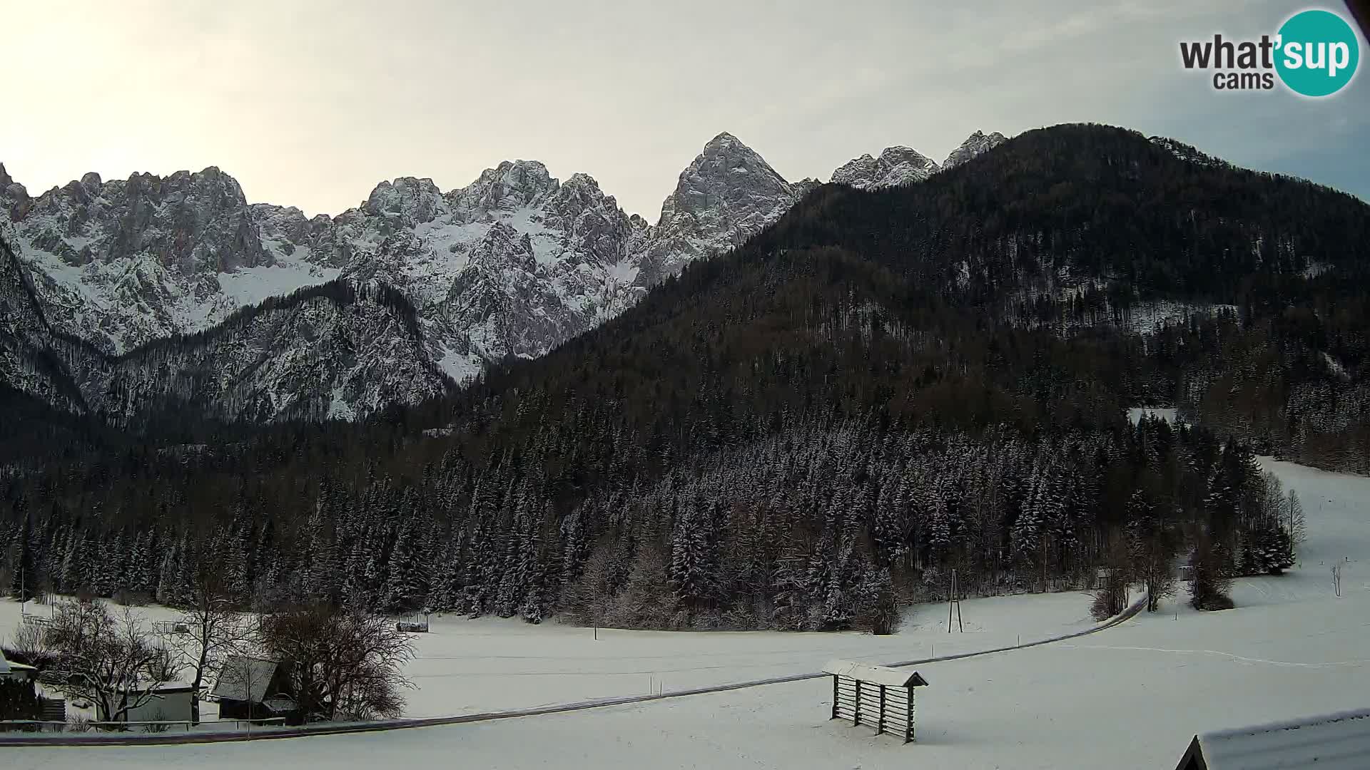 Gozd Martuljek –  planinski lanac Špik