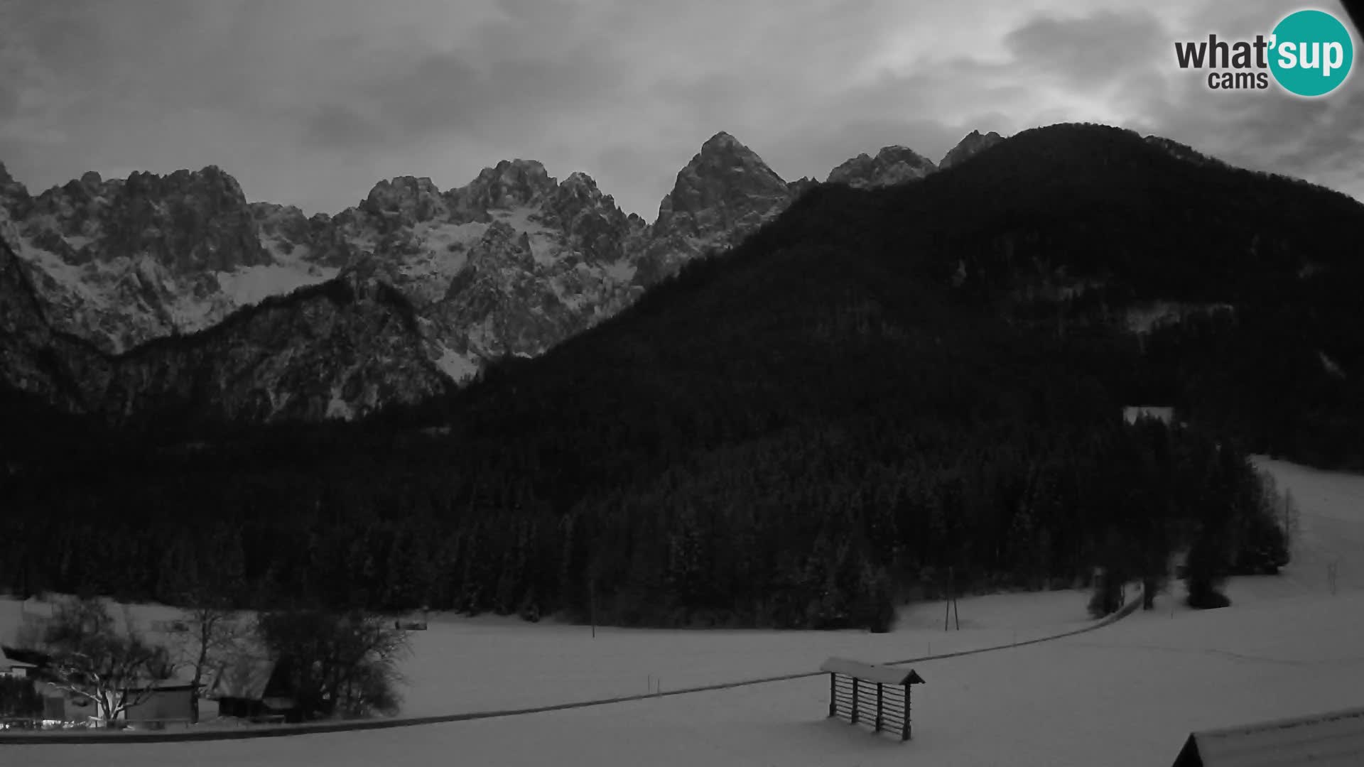 Gozd Martuljek – Špikova skupina