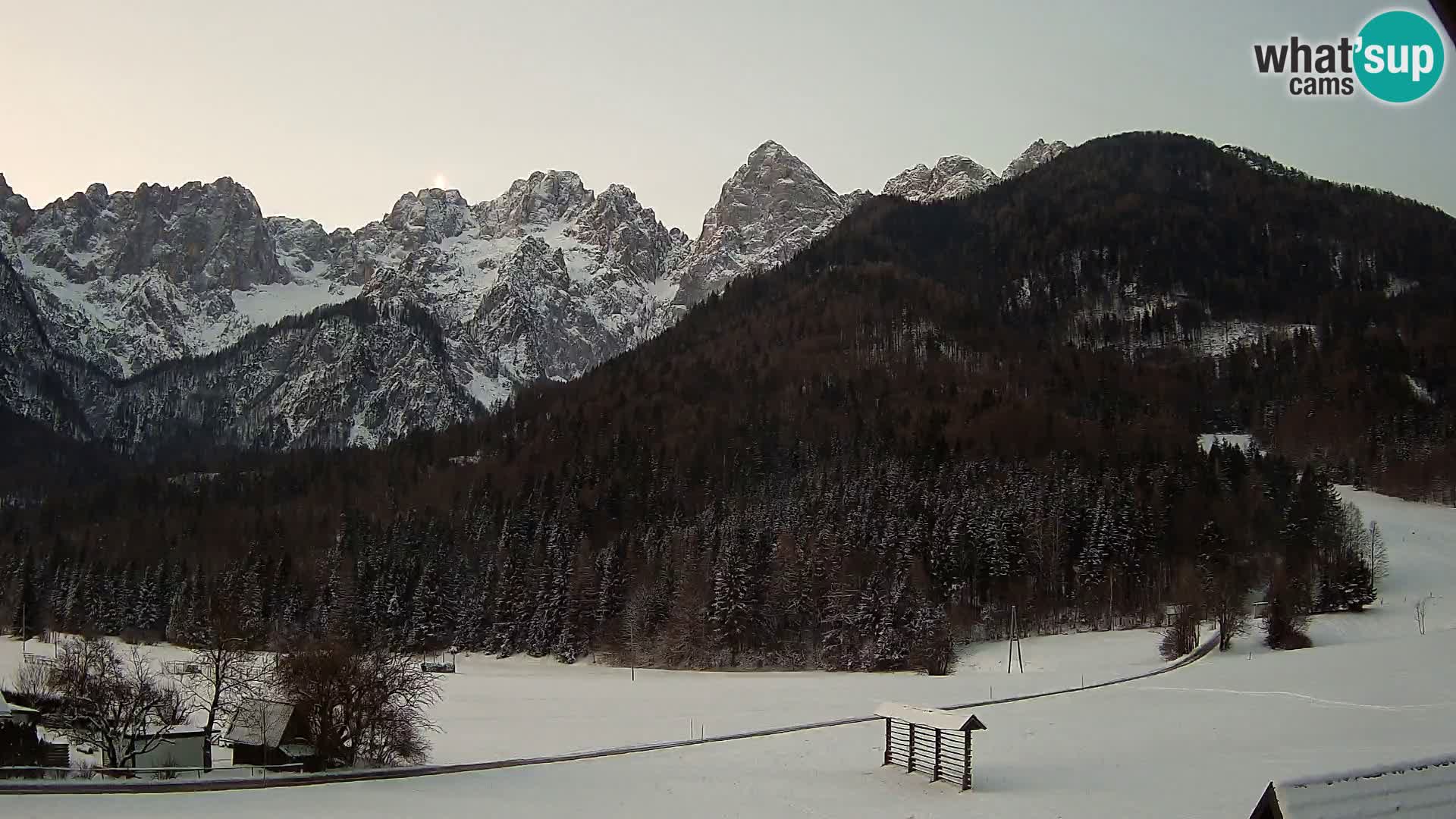 Gozd Martuljek – Špikova skupina