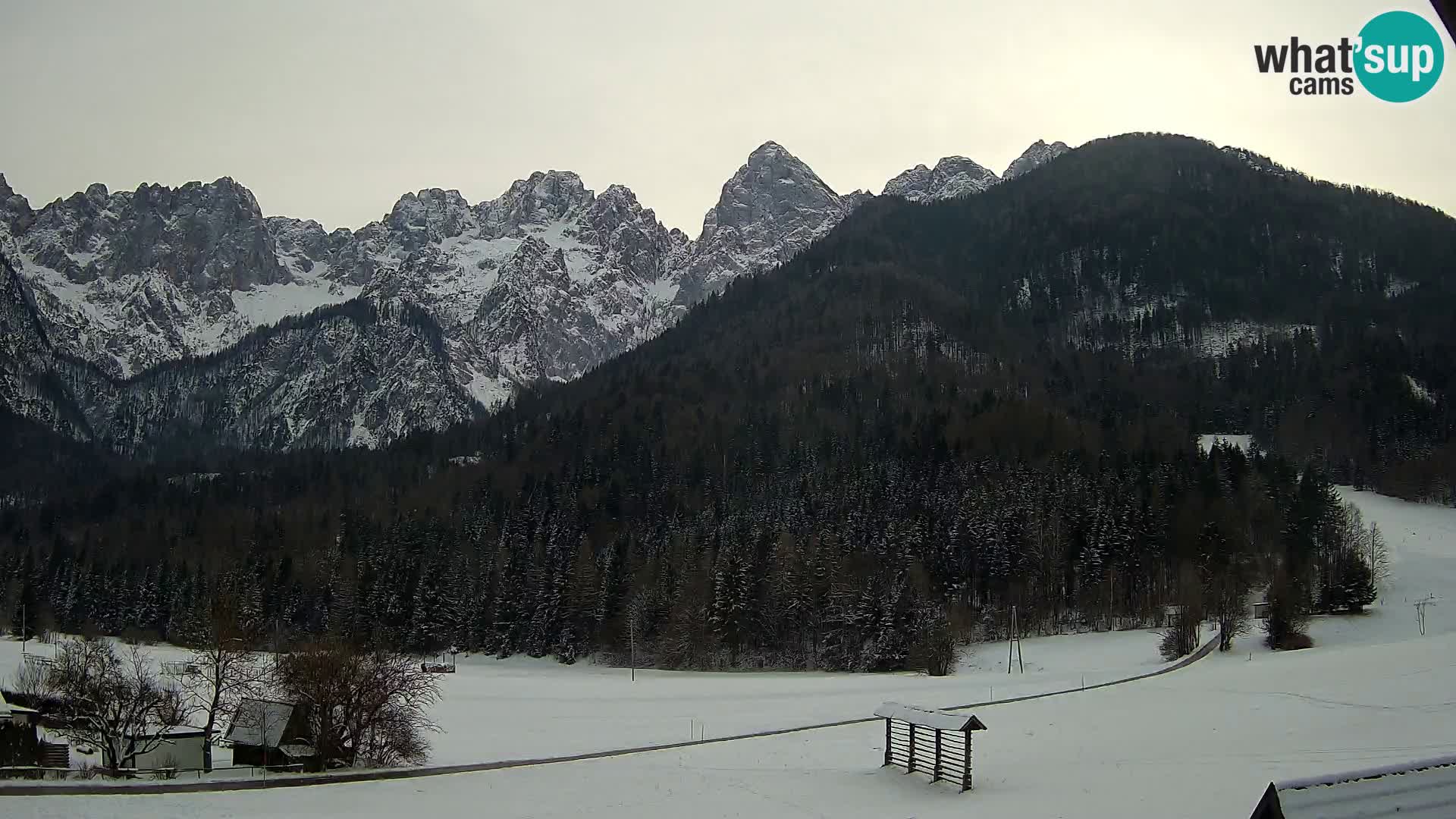 Gozd Martuljek – Špik Mountain Group