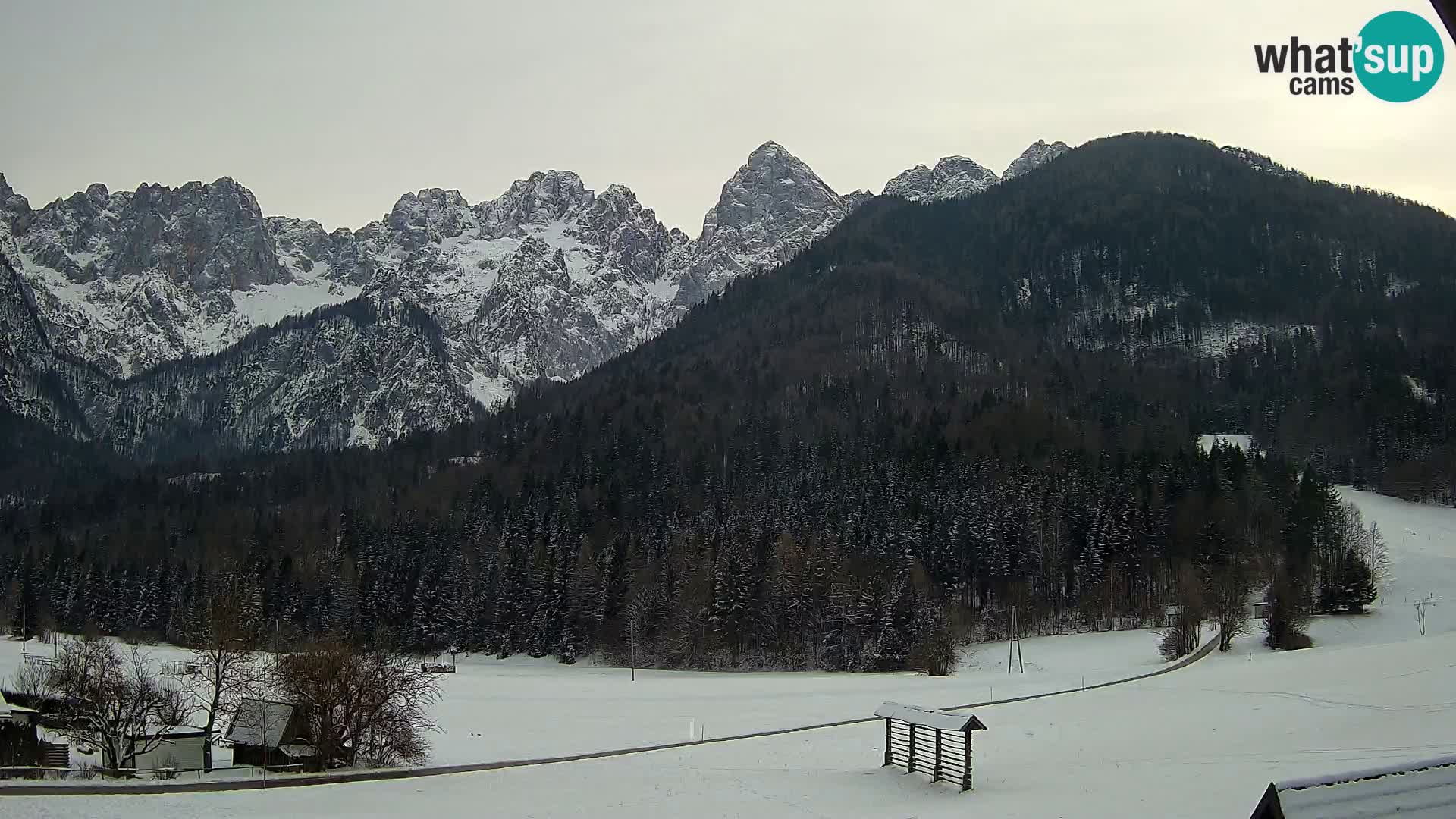 Gozd Martuljek –  planinski lanac Špik