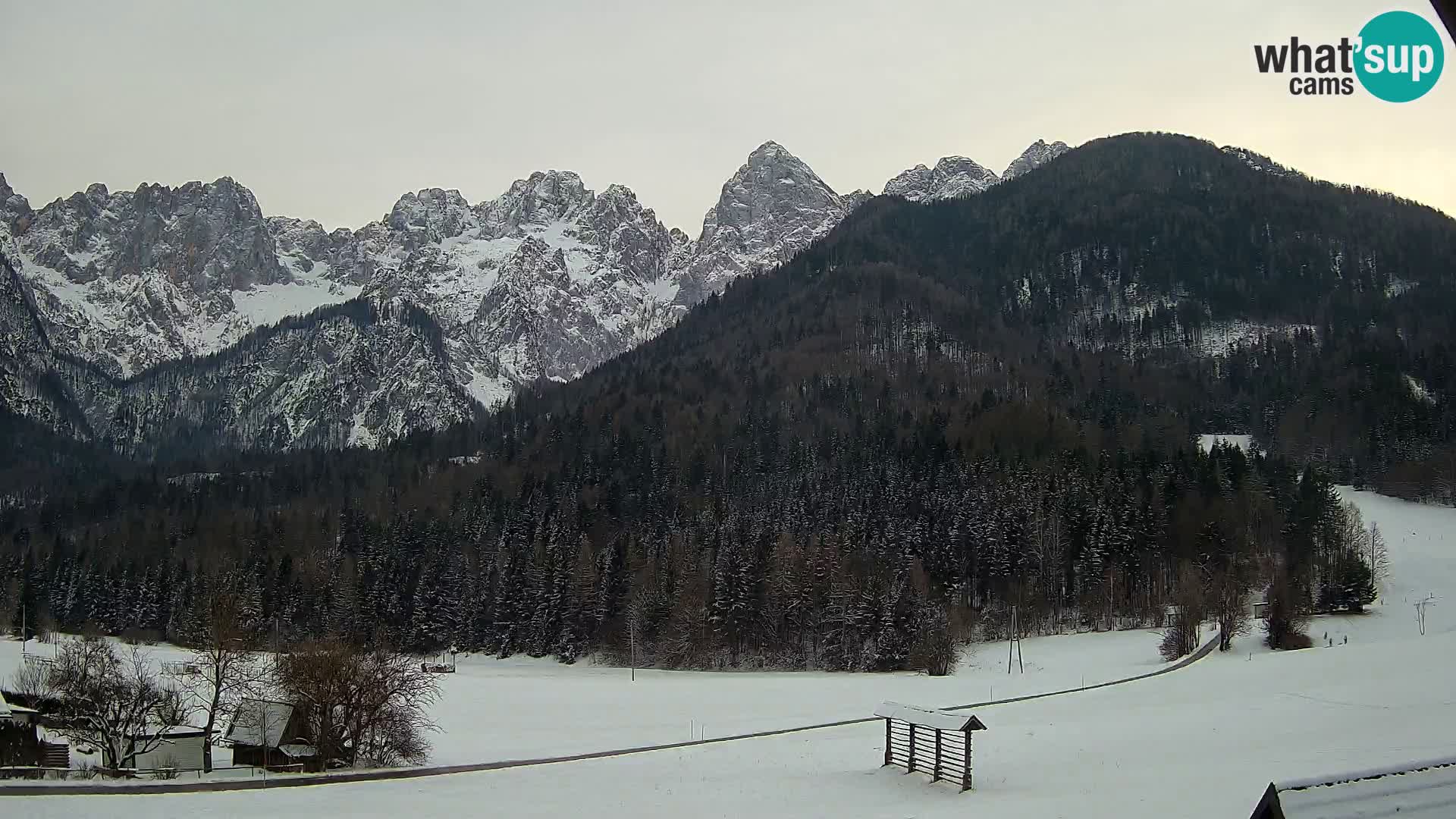 Gozd Martuljek – Špik Mountain Group