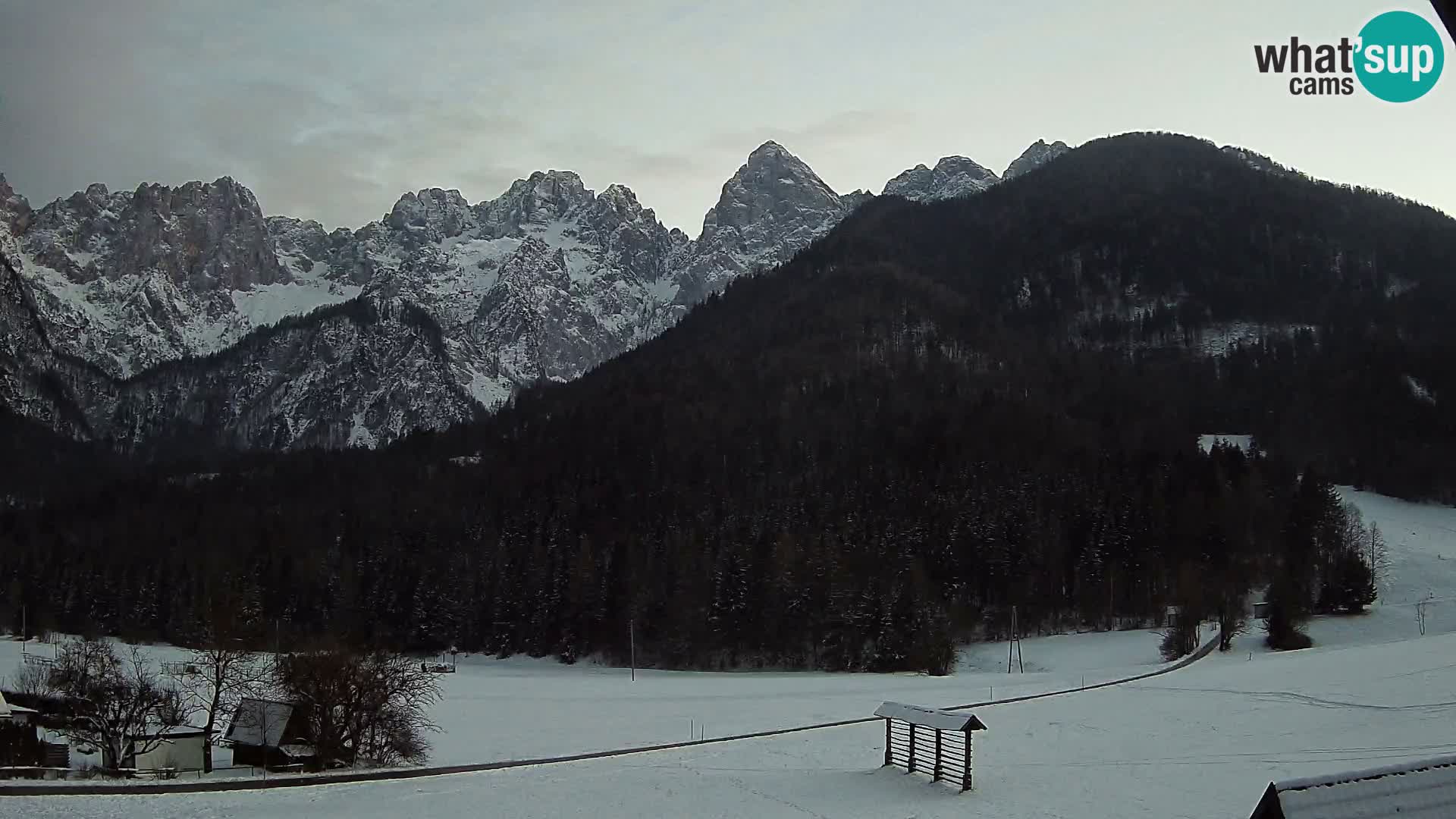 Gozd Martuljek – Špik Mountain Group