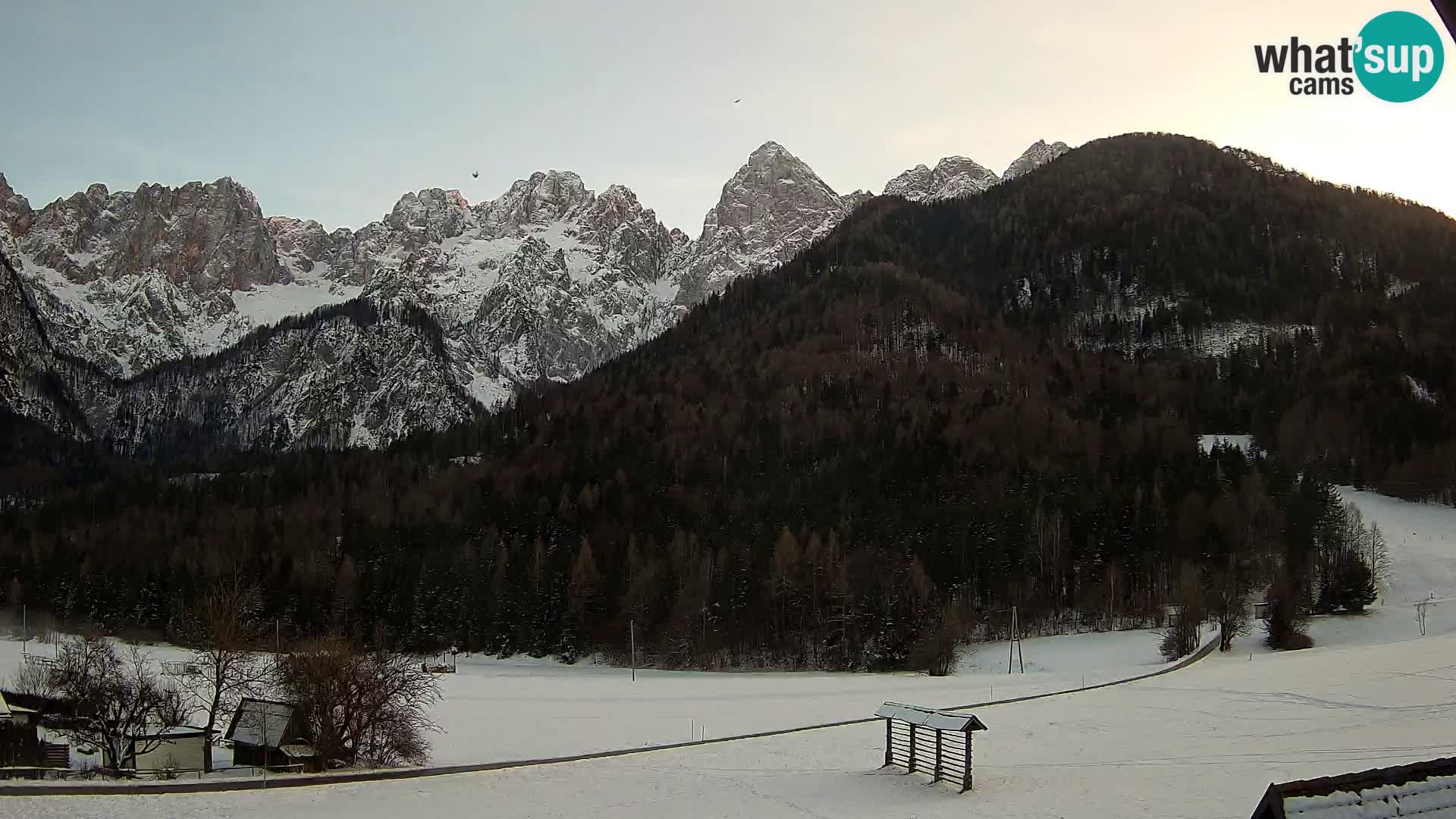 Gozd Martuljek – Špik Mountain Group