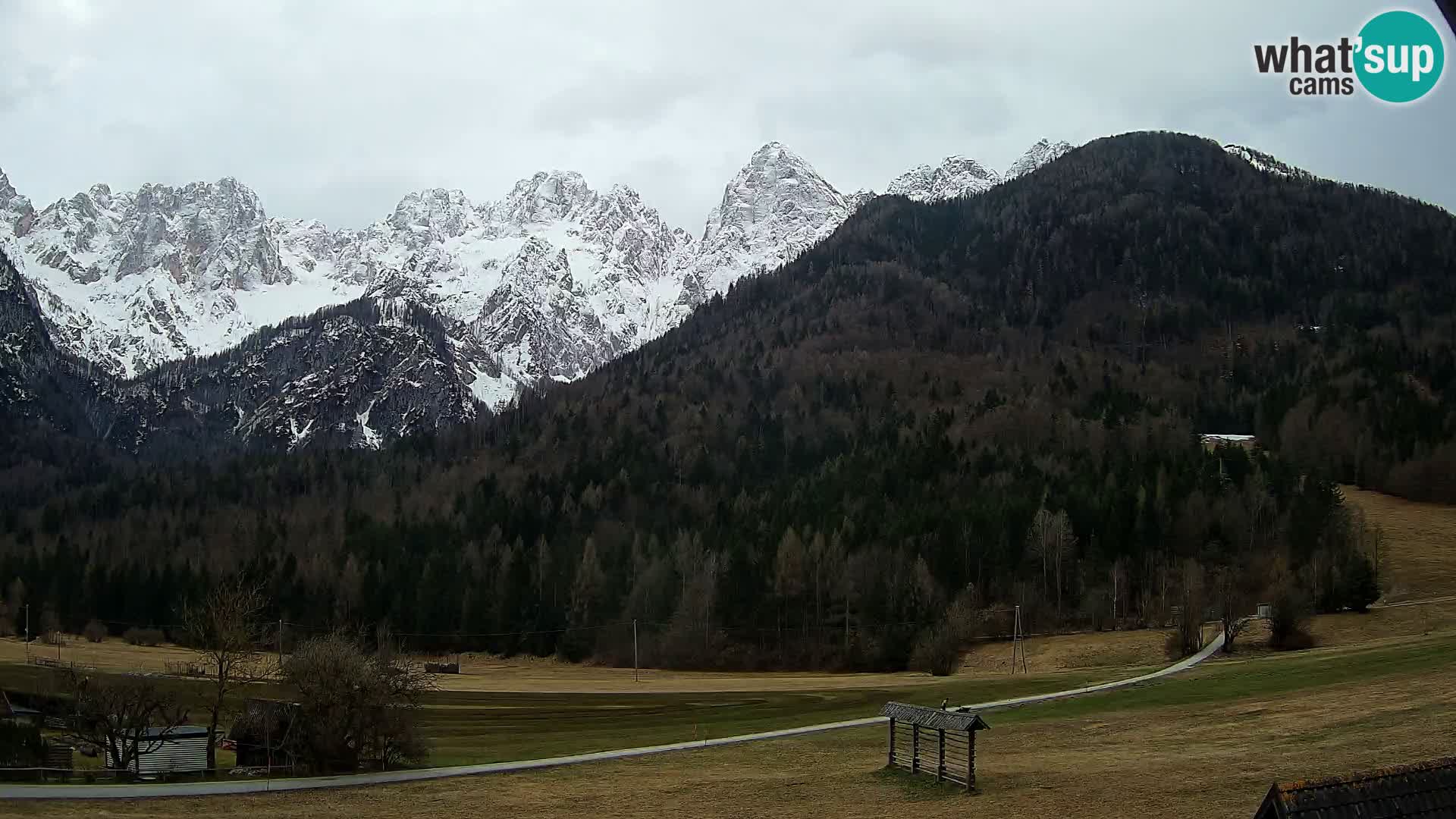 Gozd Martuljek – Špikova skupina