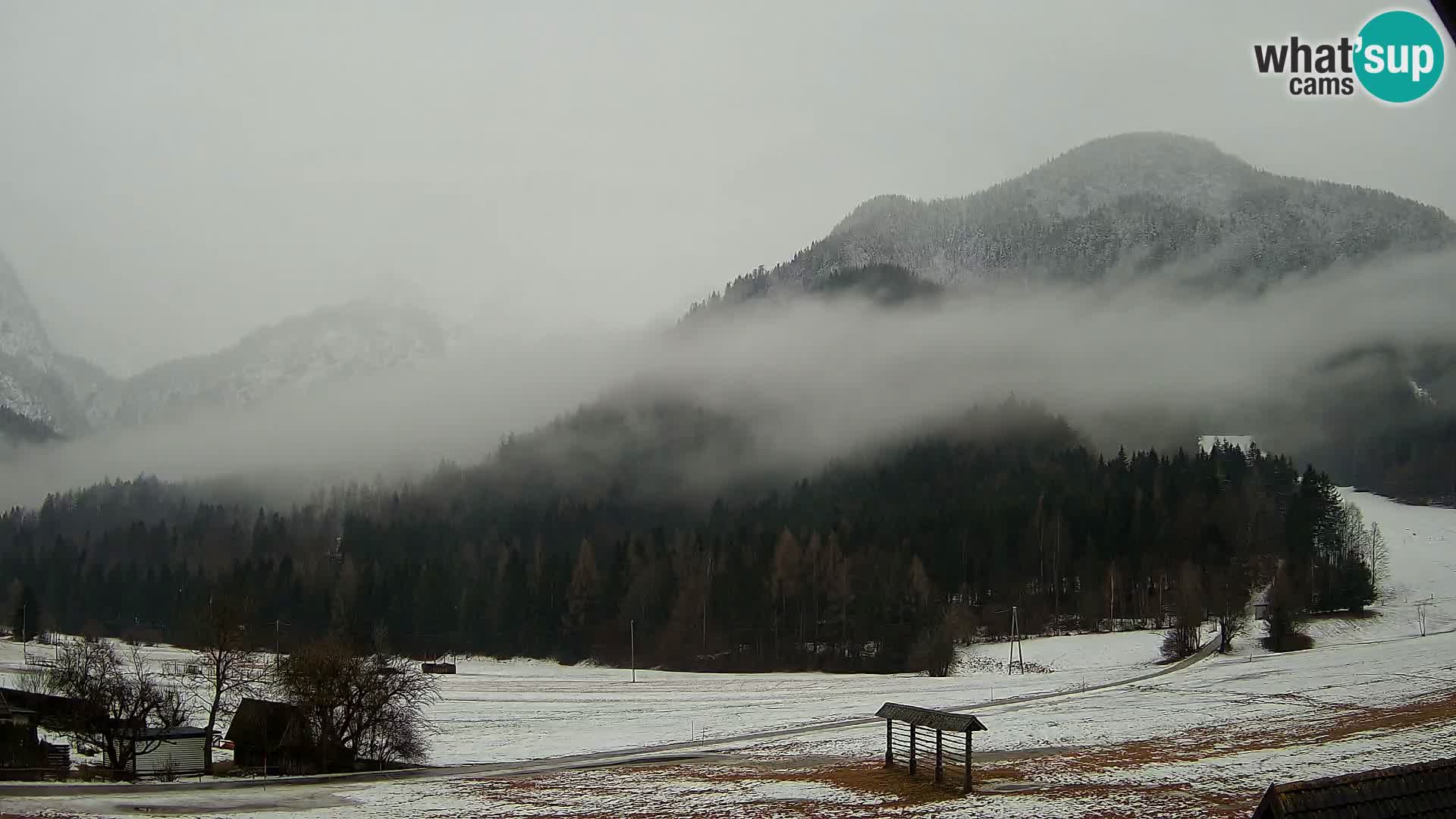 Gozd Martuljek – Špik Mountain Group