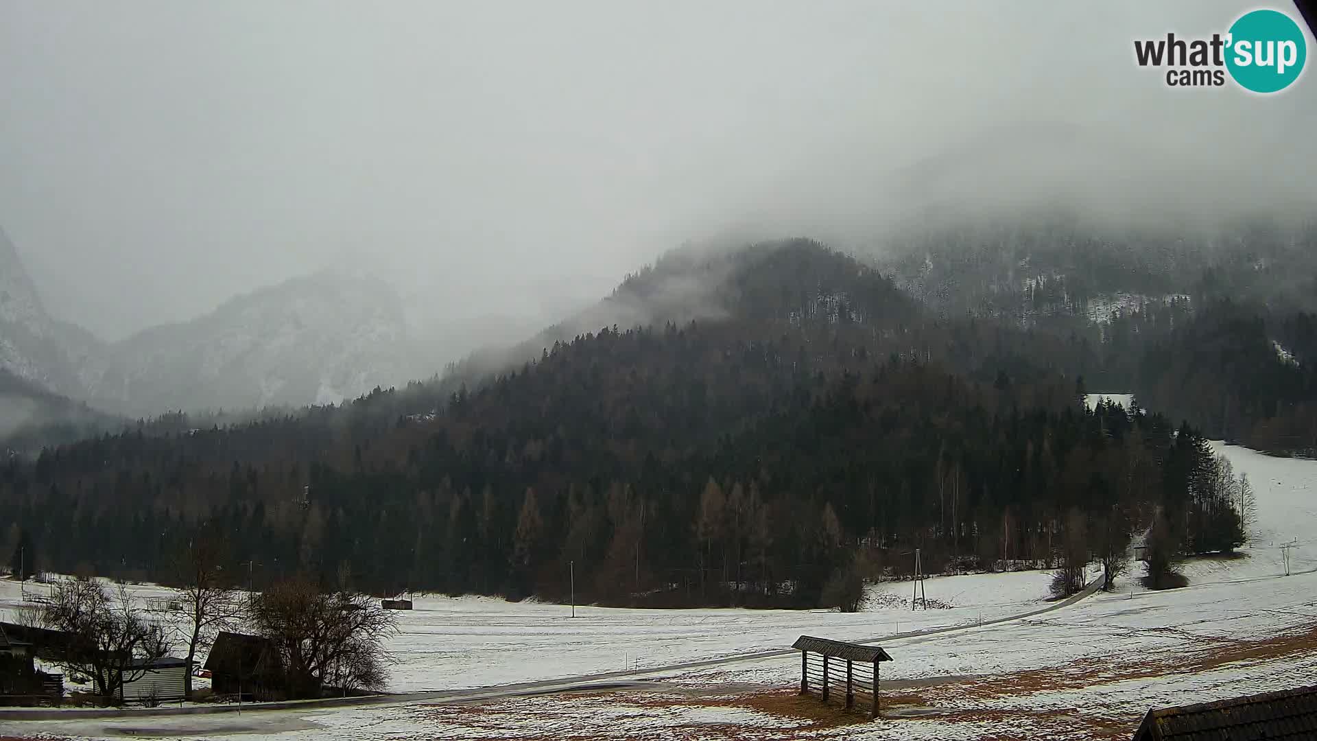 Gozd Martuljek – Špik Mountain Group