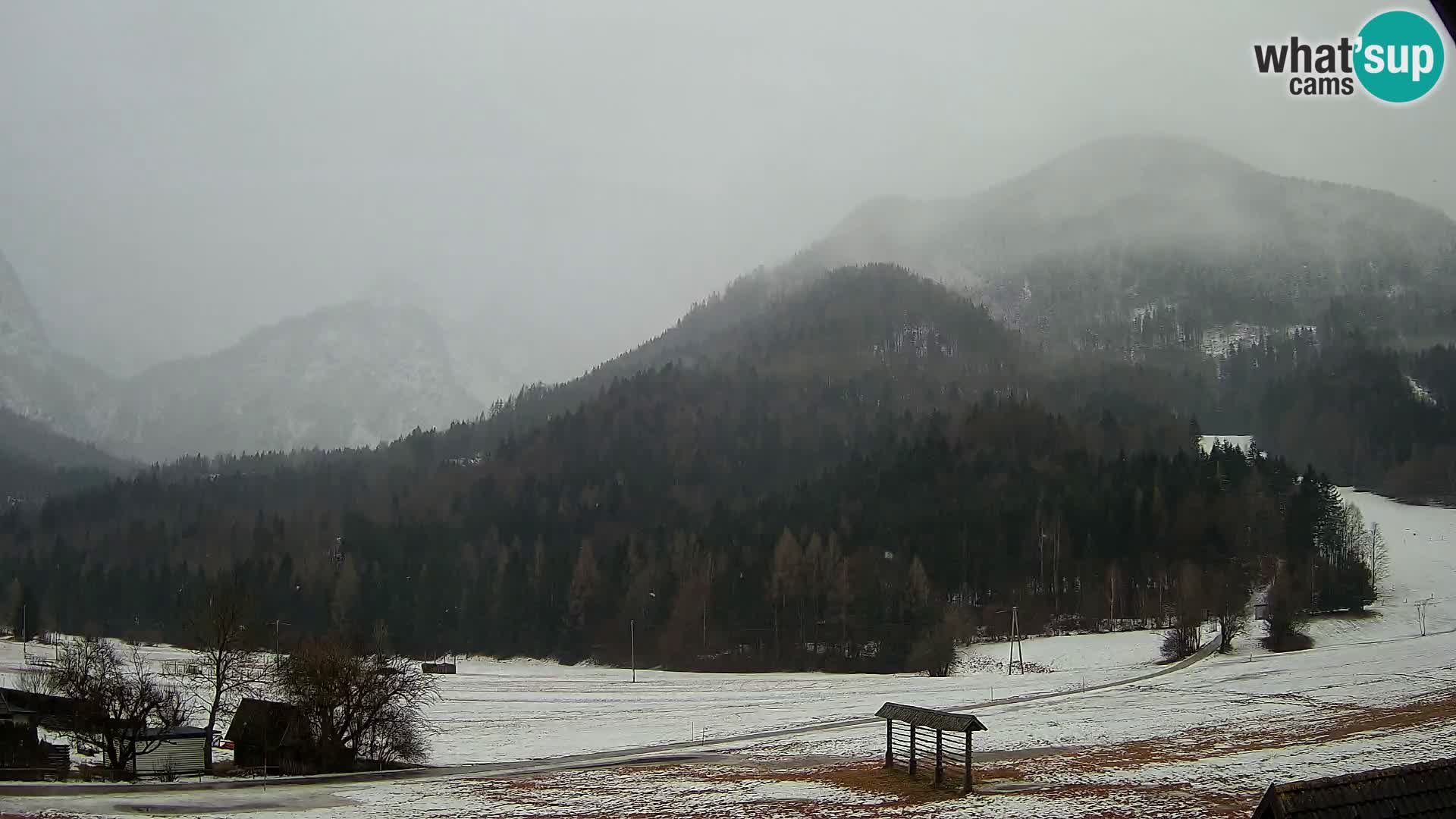 Gozd Martuljek – Špik Mountain Group