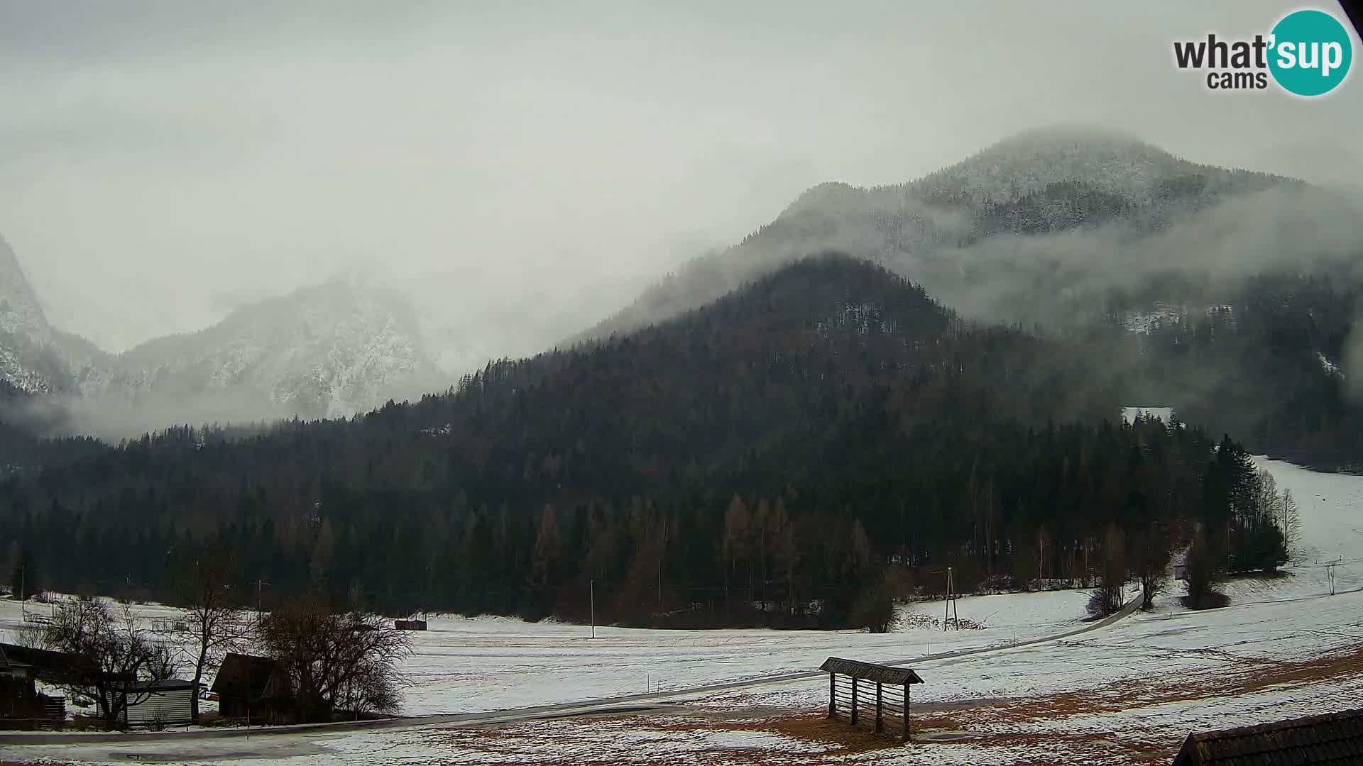 Gozd Martuljek – Špikova skupina