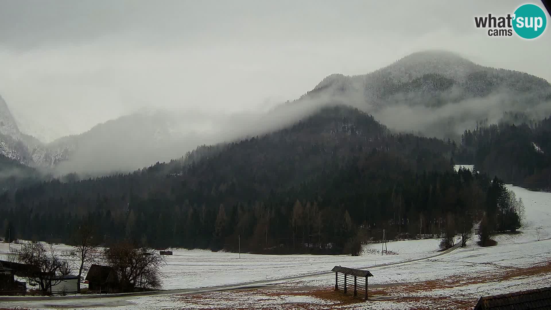 Gozd Martuljek – Špikova skupina