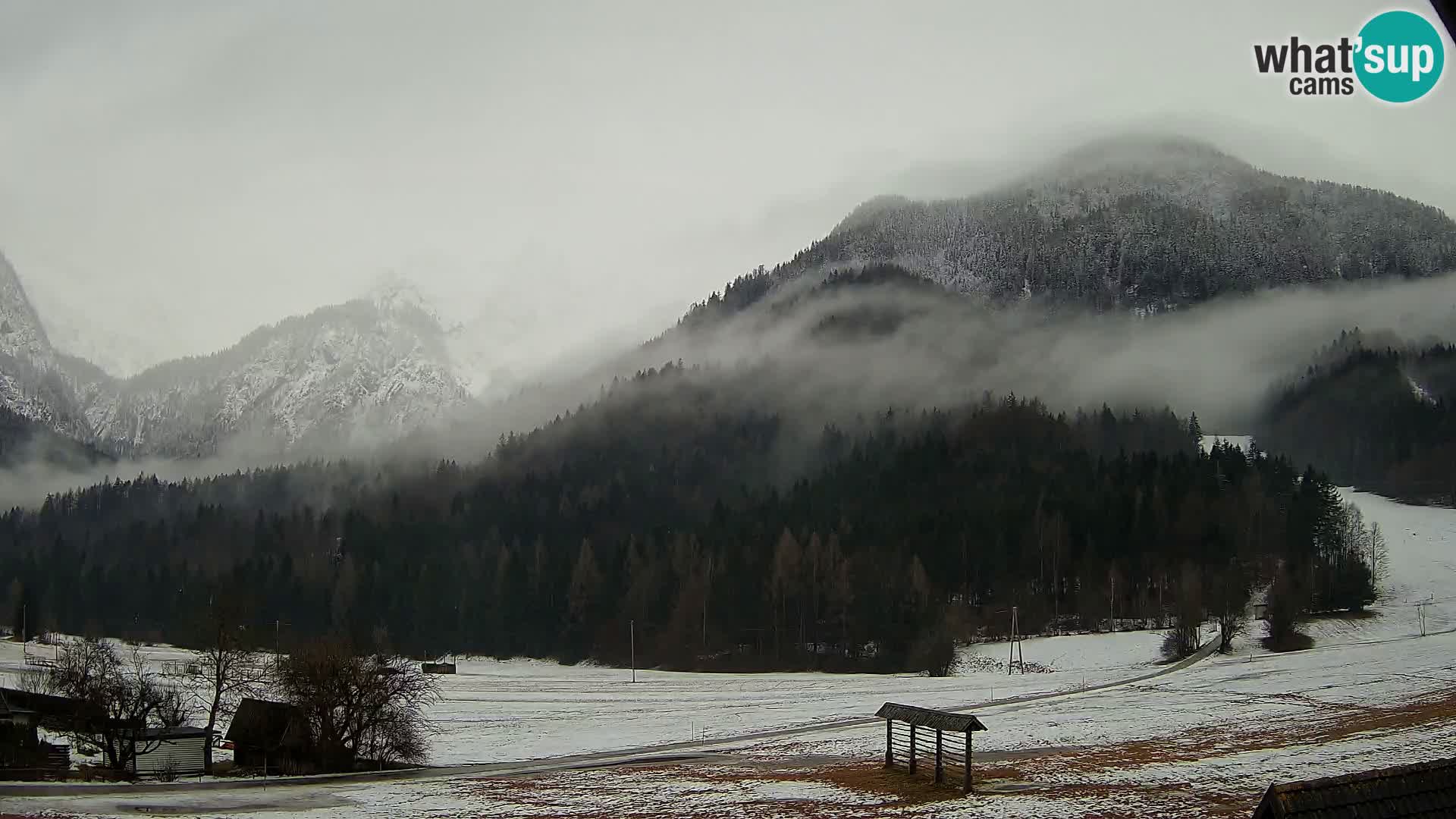 Gozd Martuljek – Špikova skupina