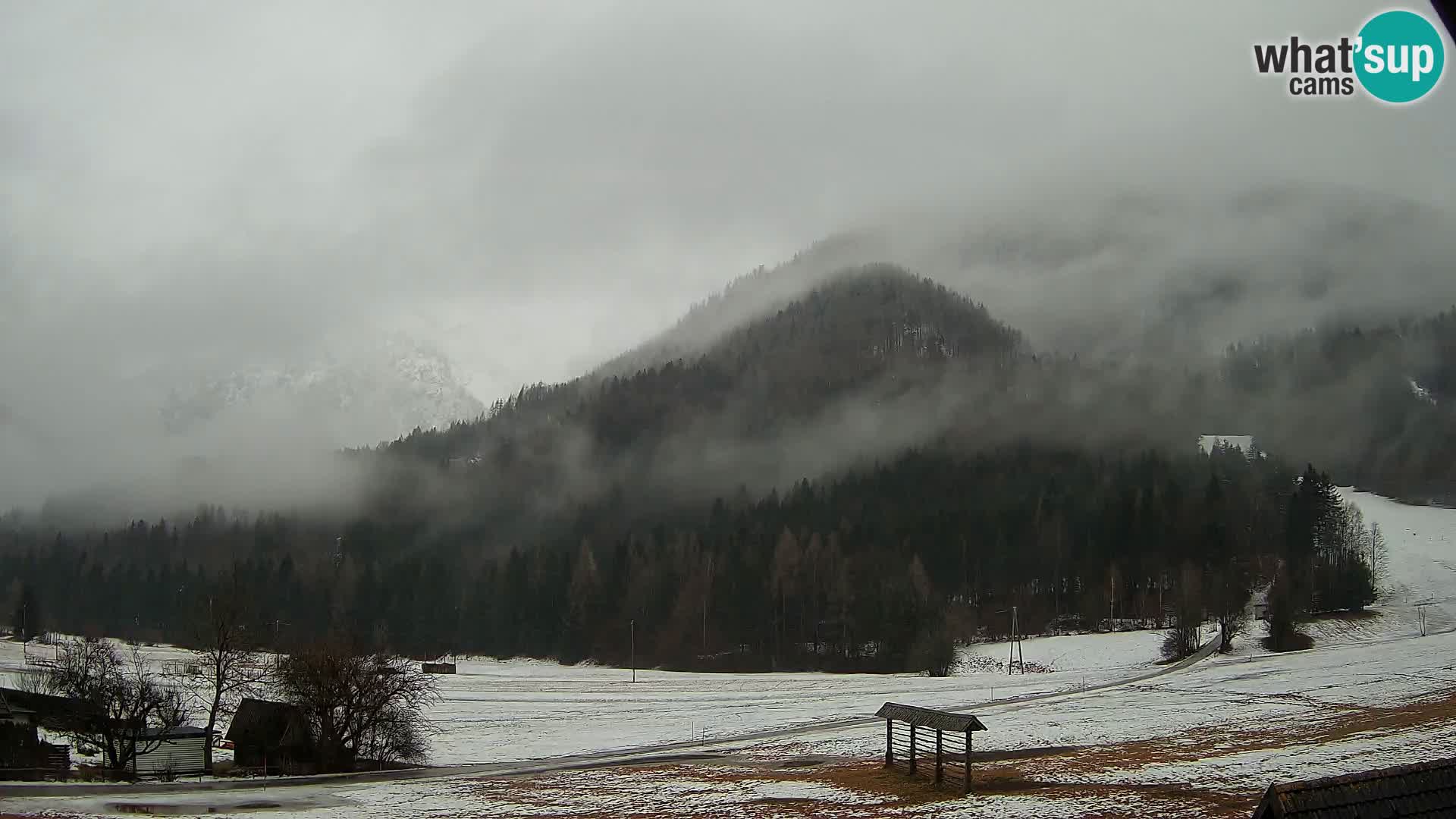 Gozd Martuljek – Špikova skupina