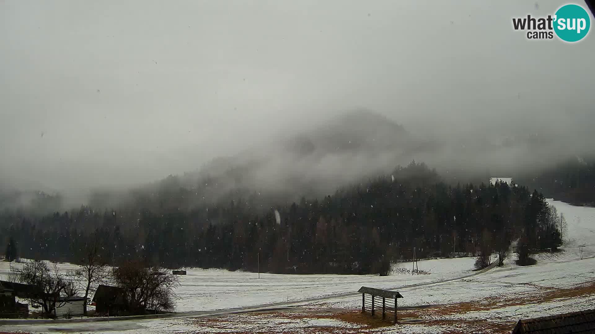 Gozd Martuljek – Špik Mountain Group