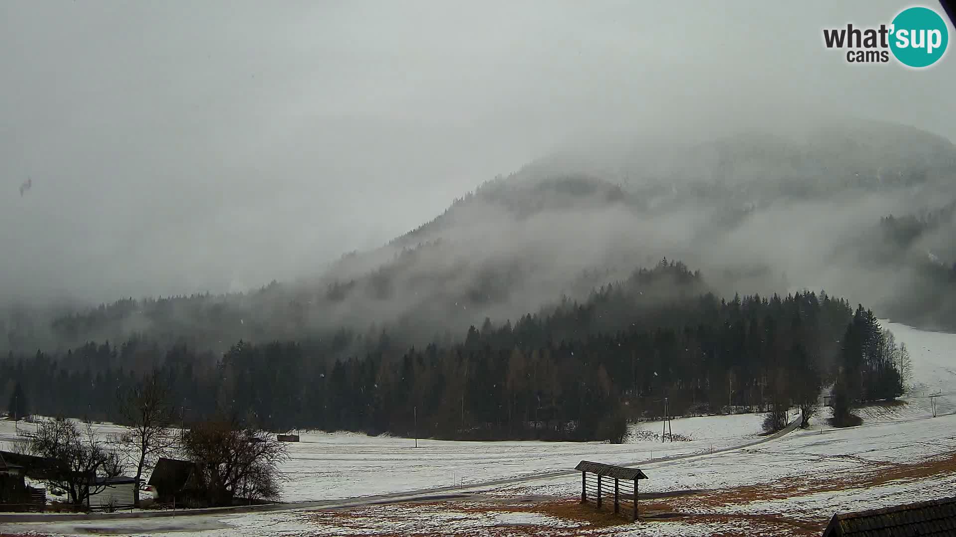 Gozd Martuljek – Špik Mountain Group